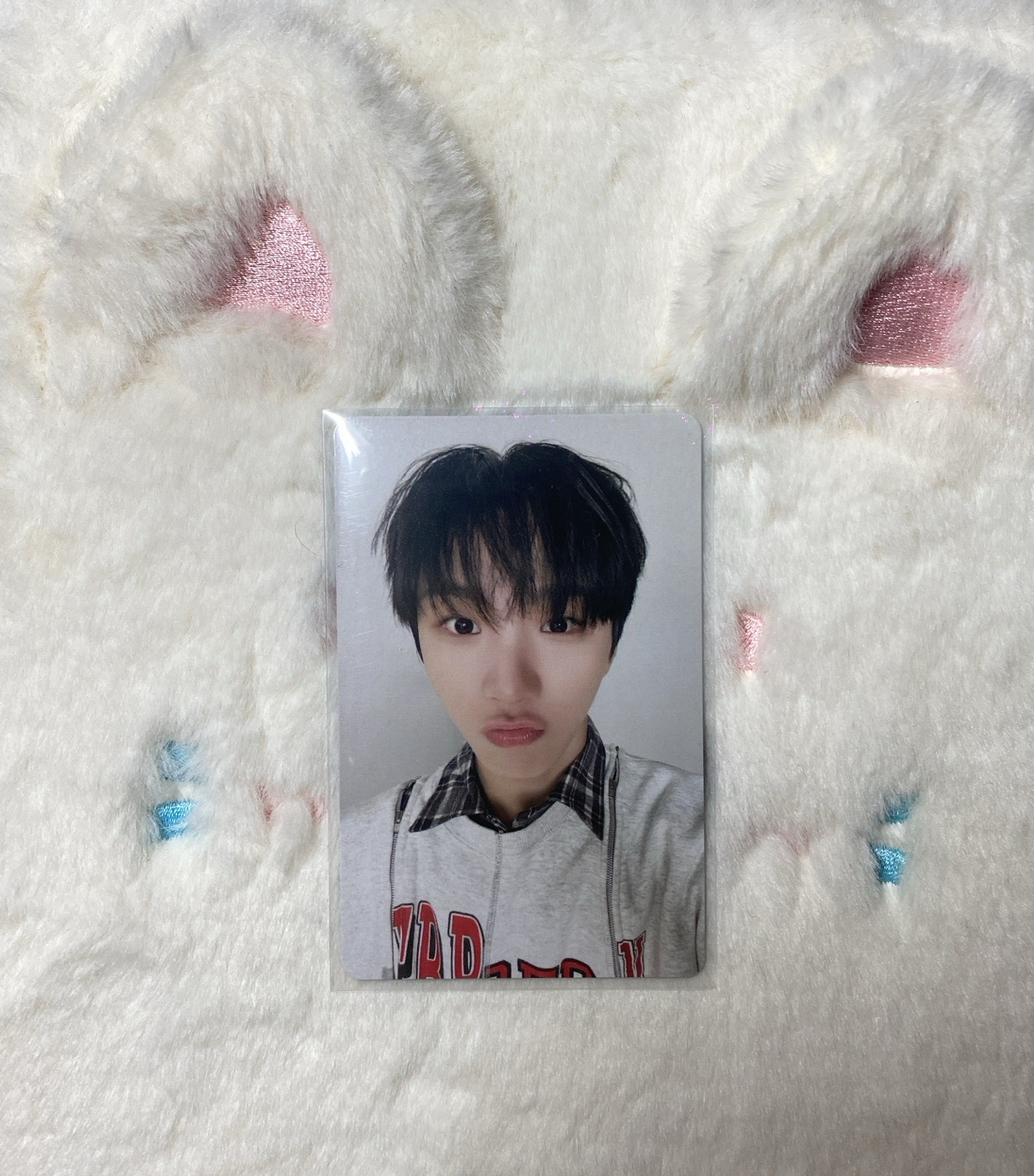 金雲鶴日巡外套卡