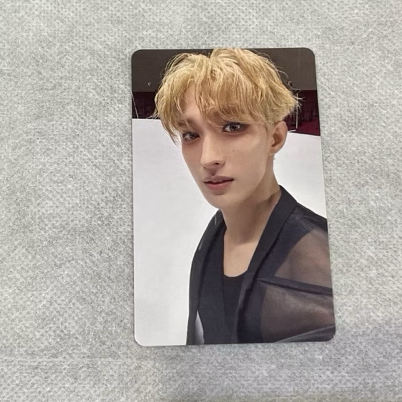 精選專 wvs 神奈川 場限卡 碩