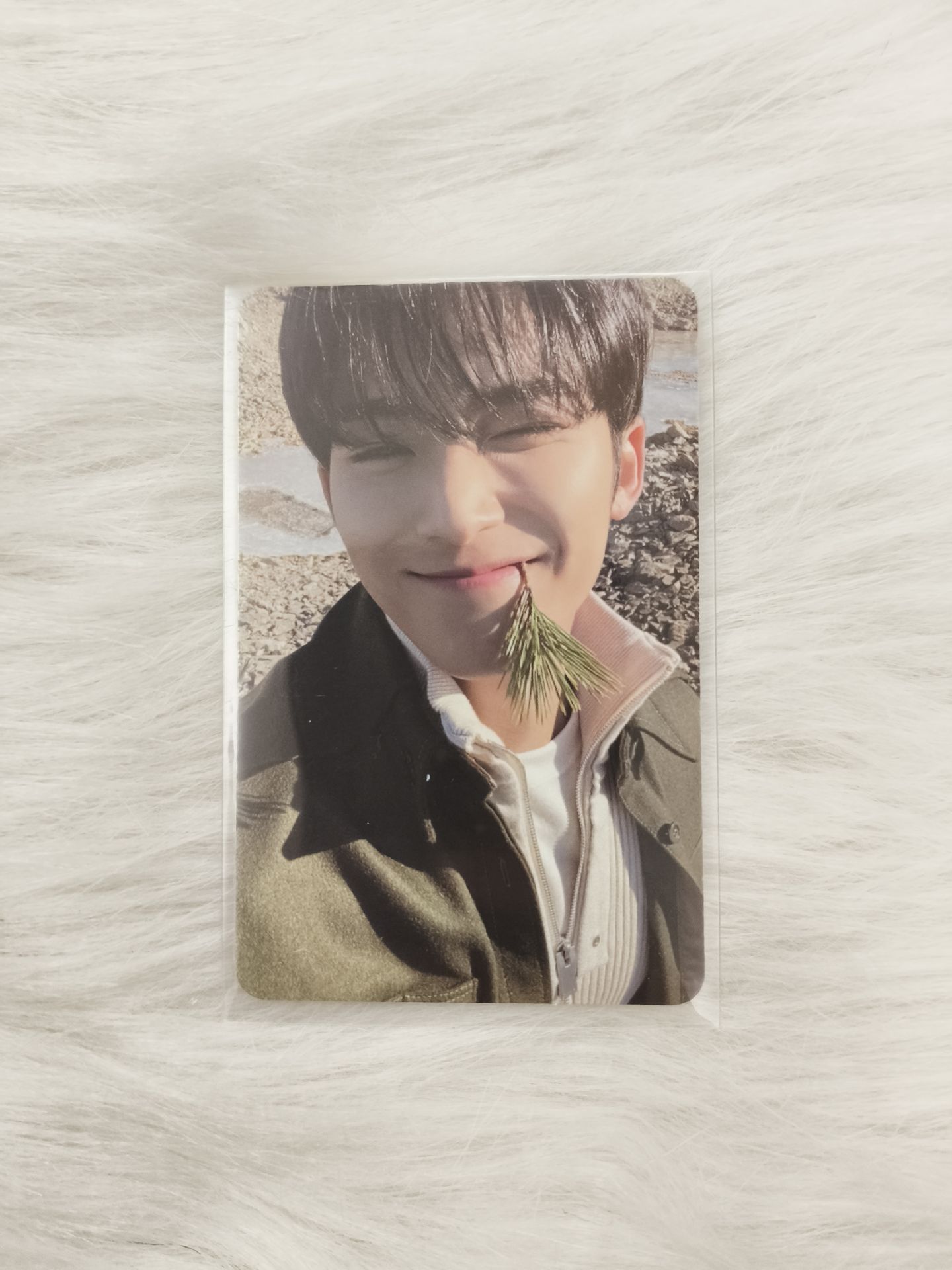 珉奎 咬草奎小盤