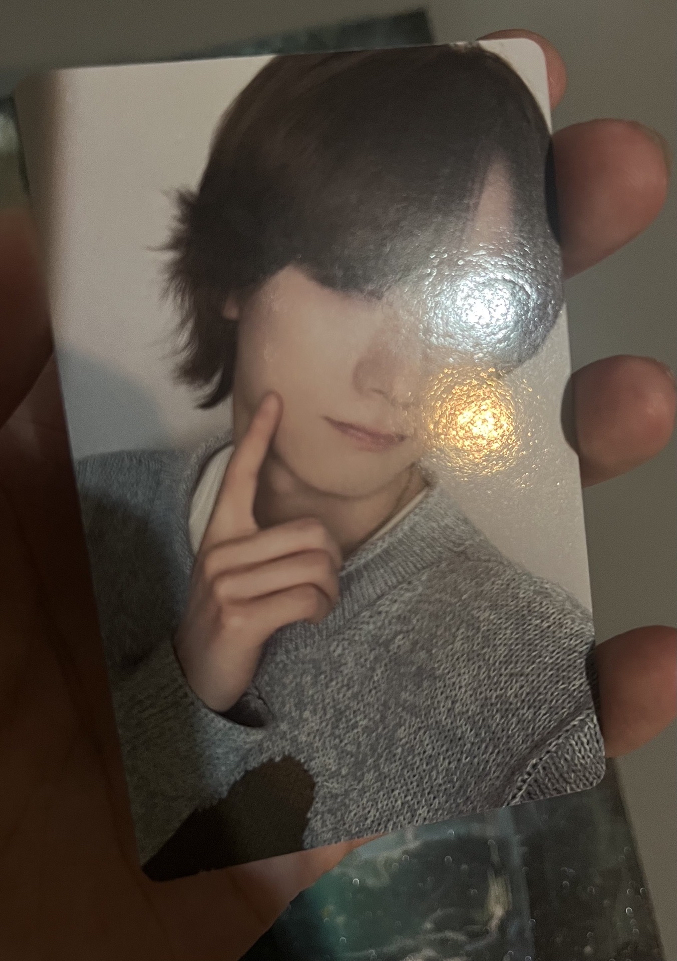 BOYLIFE WVS日咖特別禮