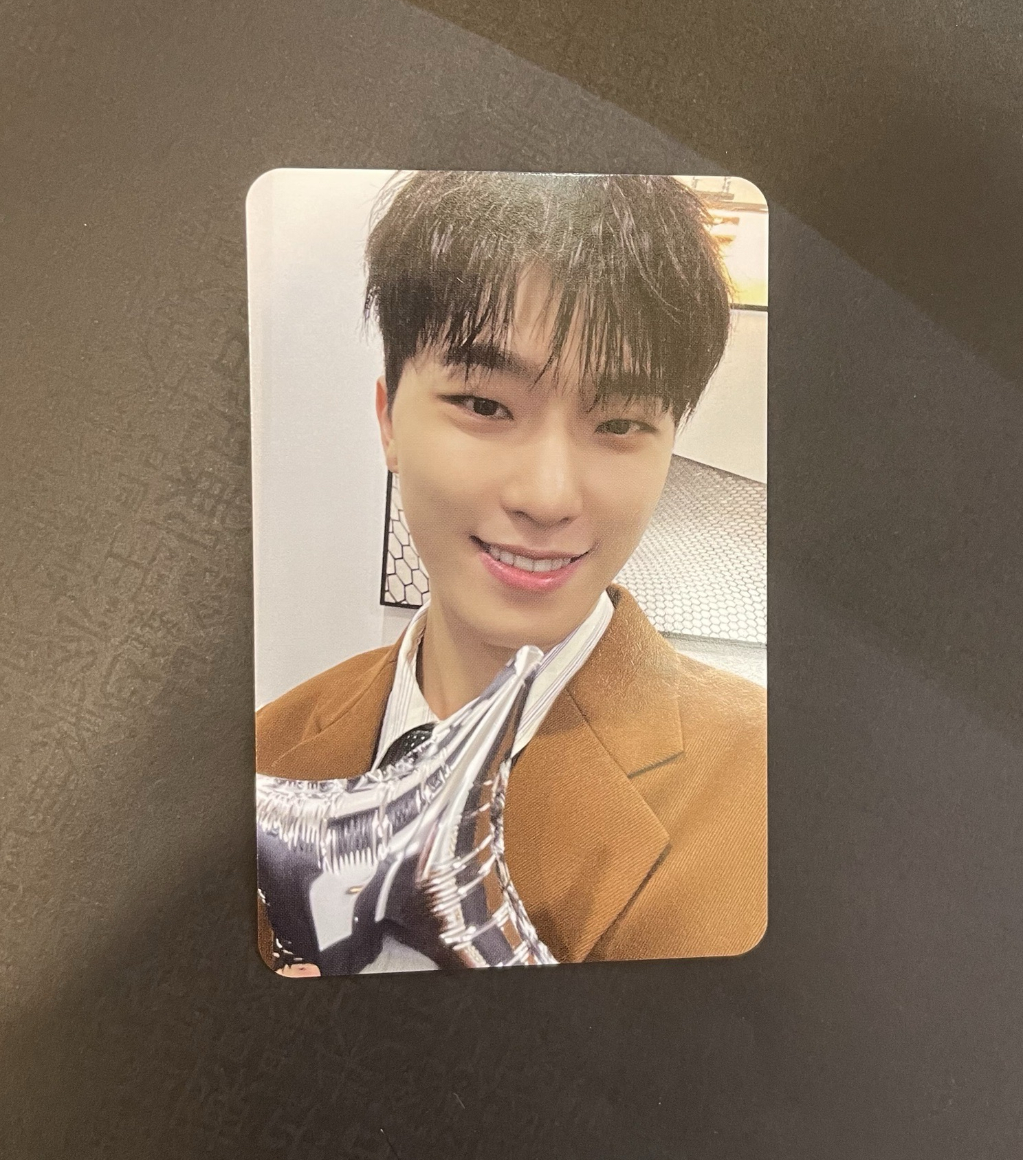 迷十二克拉盤燦