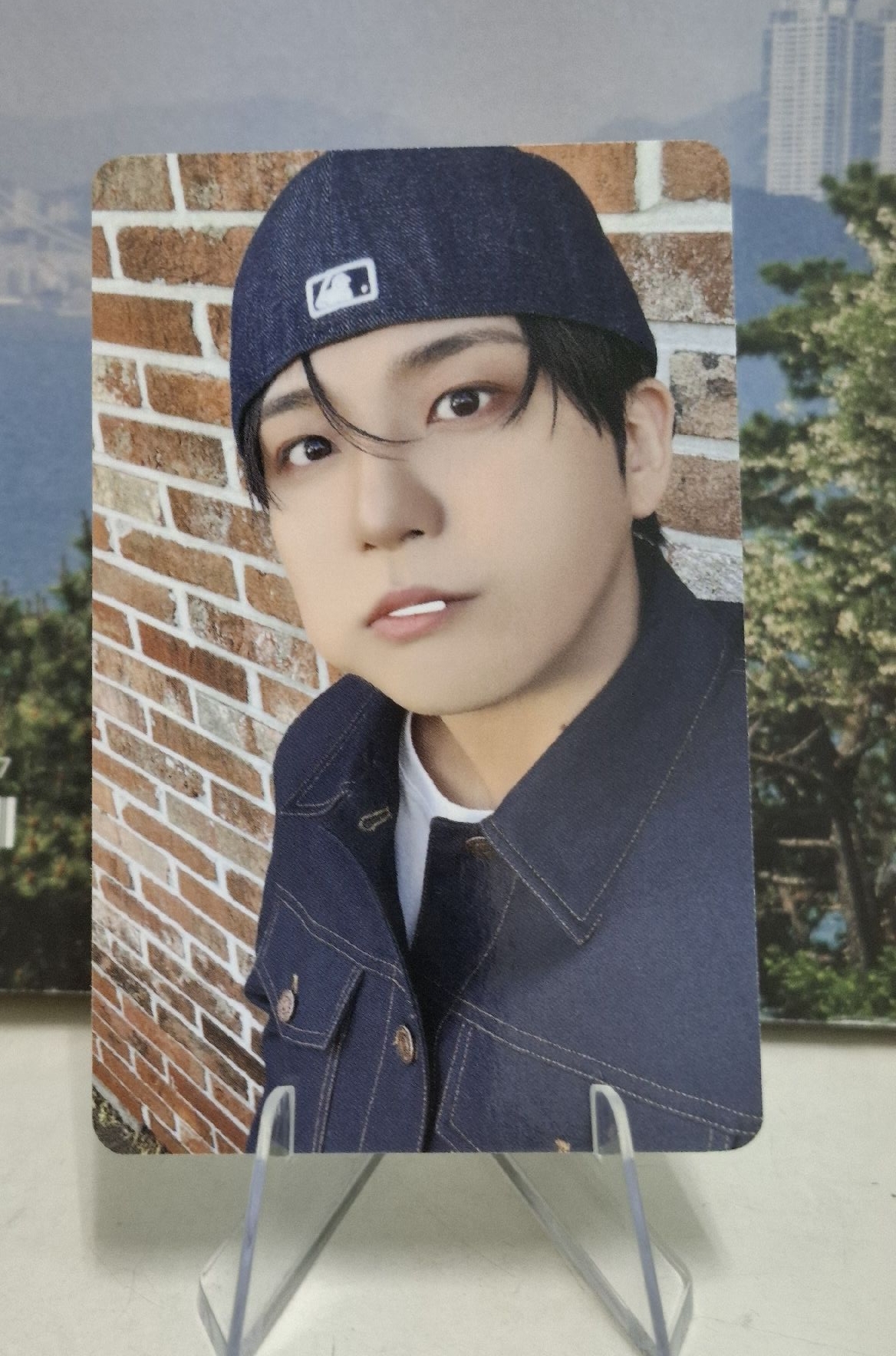 鍾浩呂尚 快閃店卡包 棒棒糖+馬卡龍小卡 兩張合售