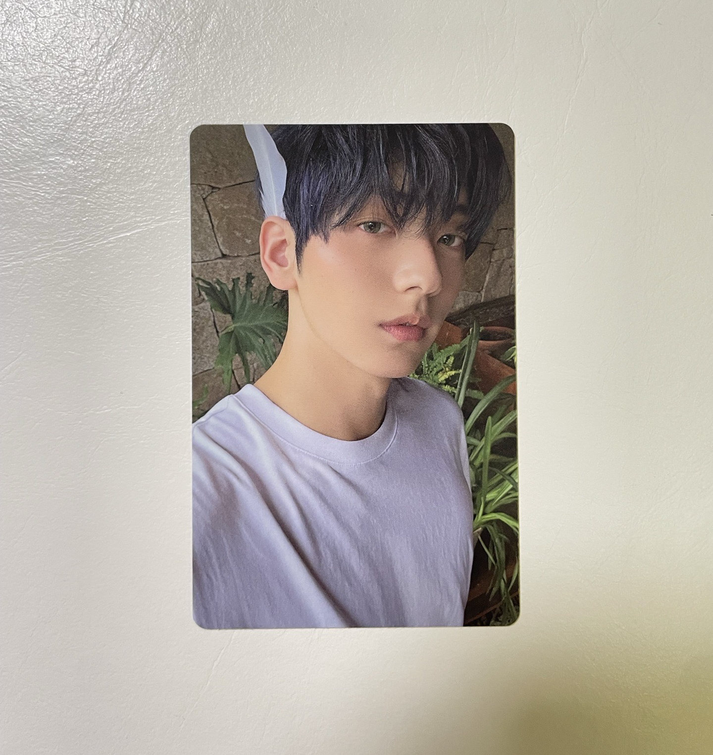 迷七 單封 專卡彬