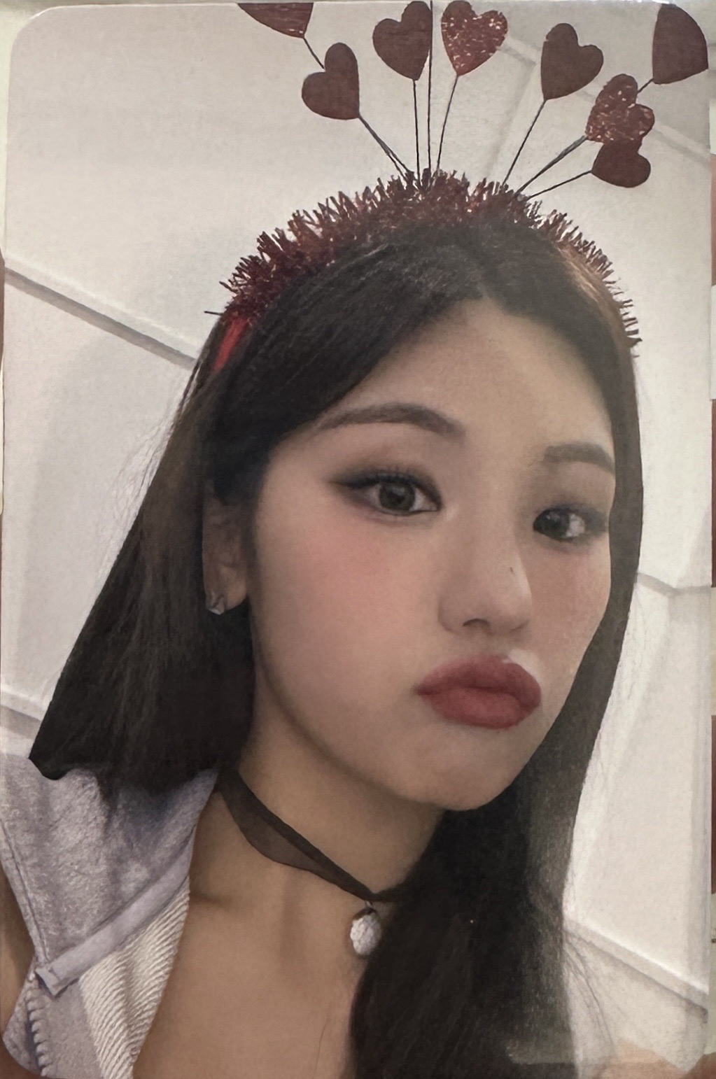 CHESHIRE bg 簽售志