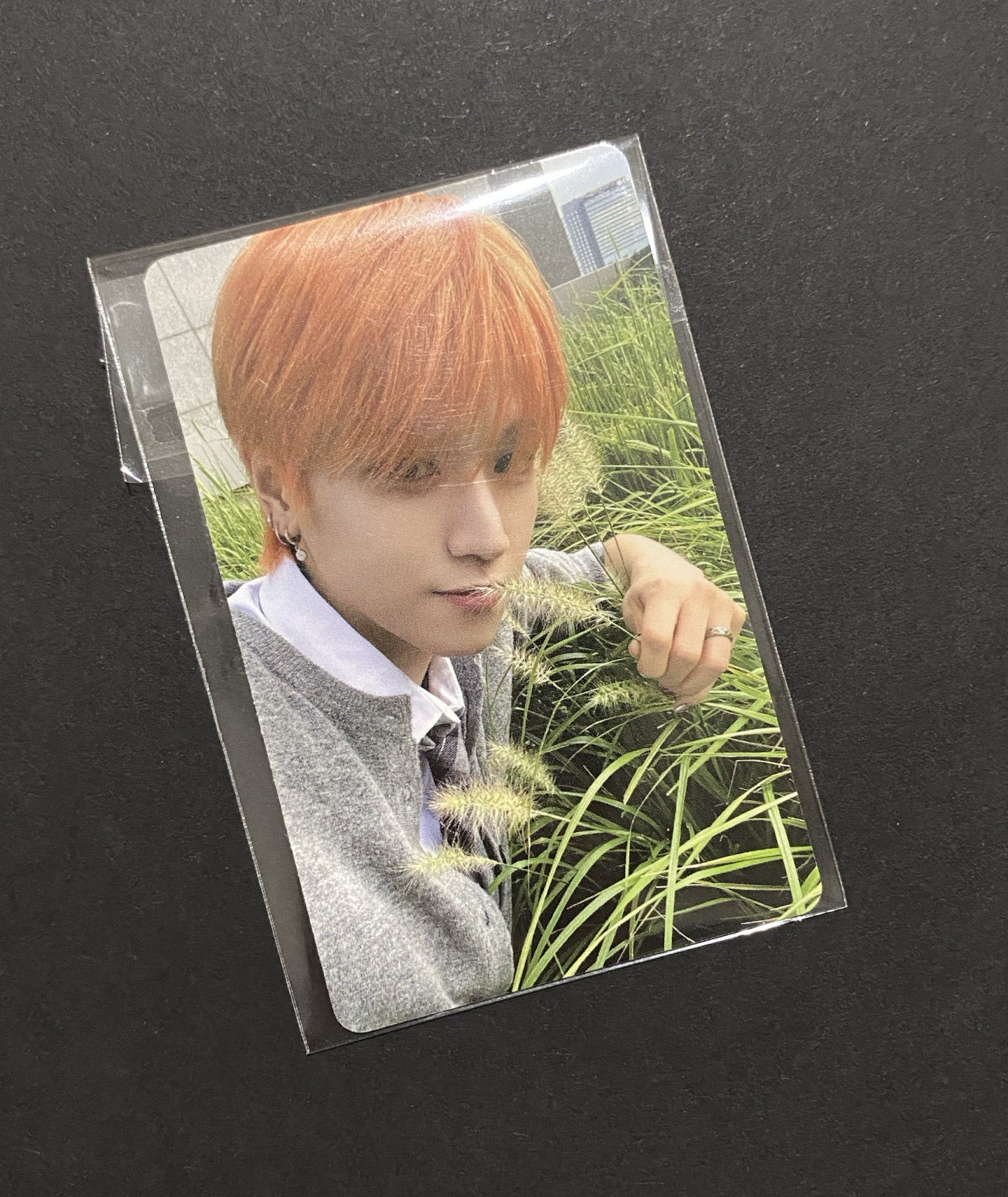 The Action wvs sc A版 直播卡 2 哩嗚