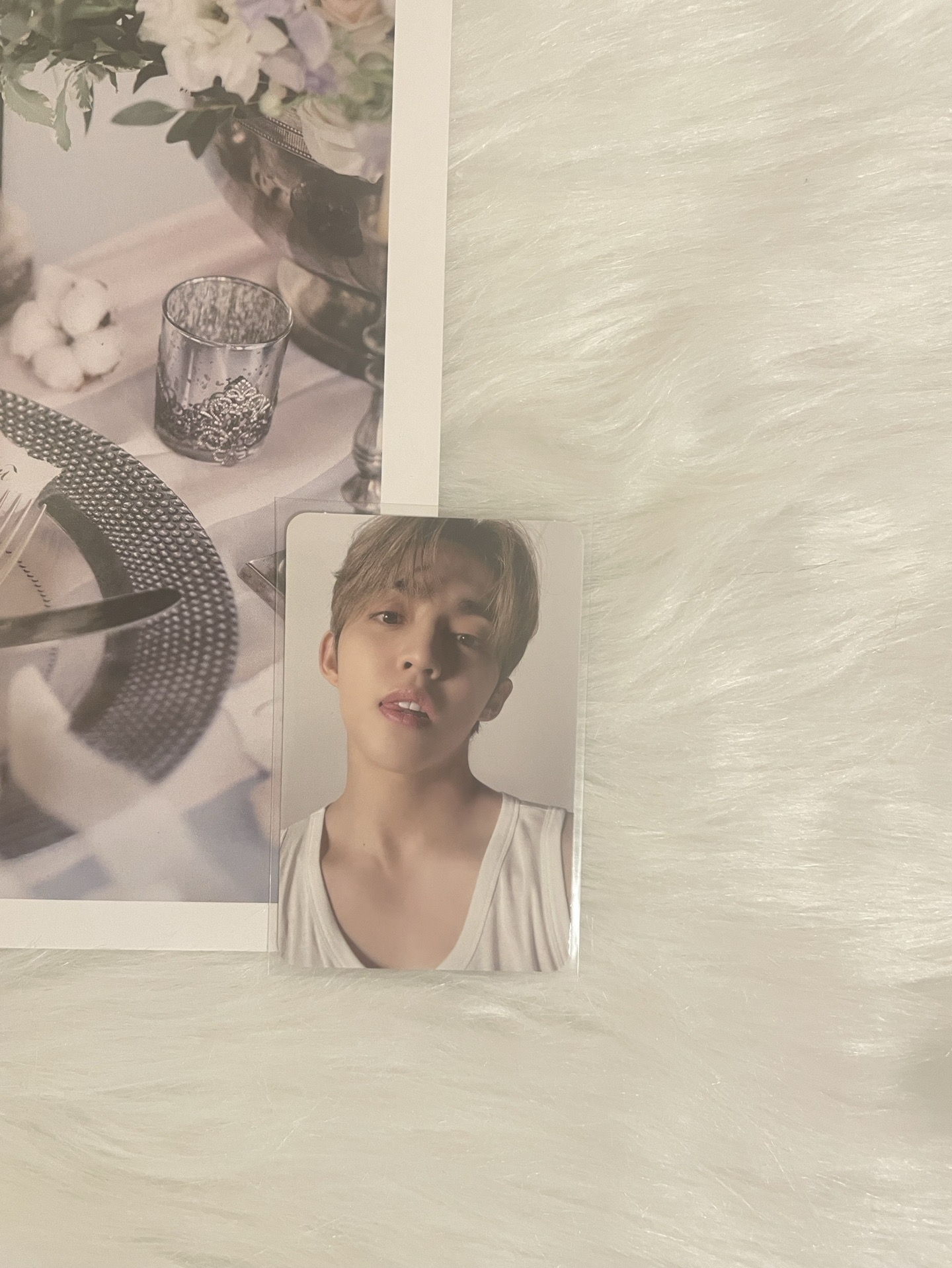 【SVT】精選專 克拉盤 S.coups