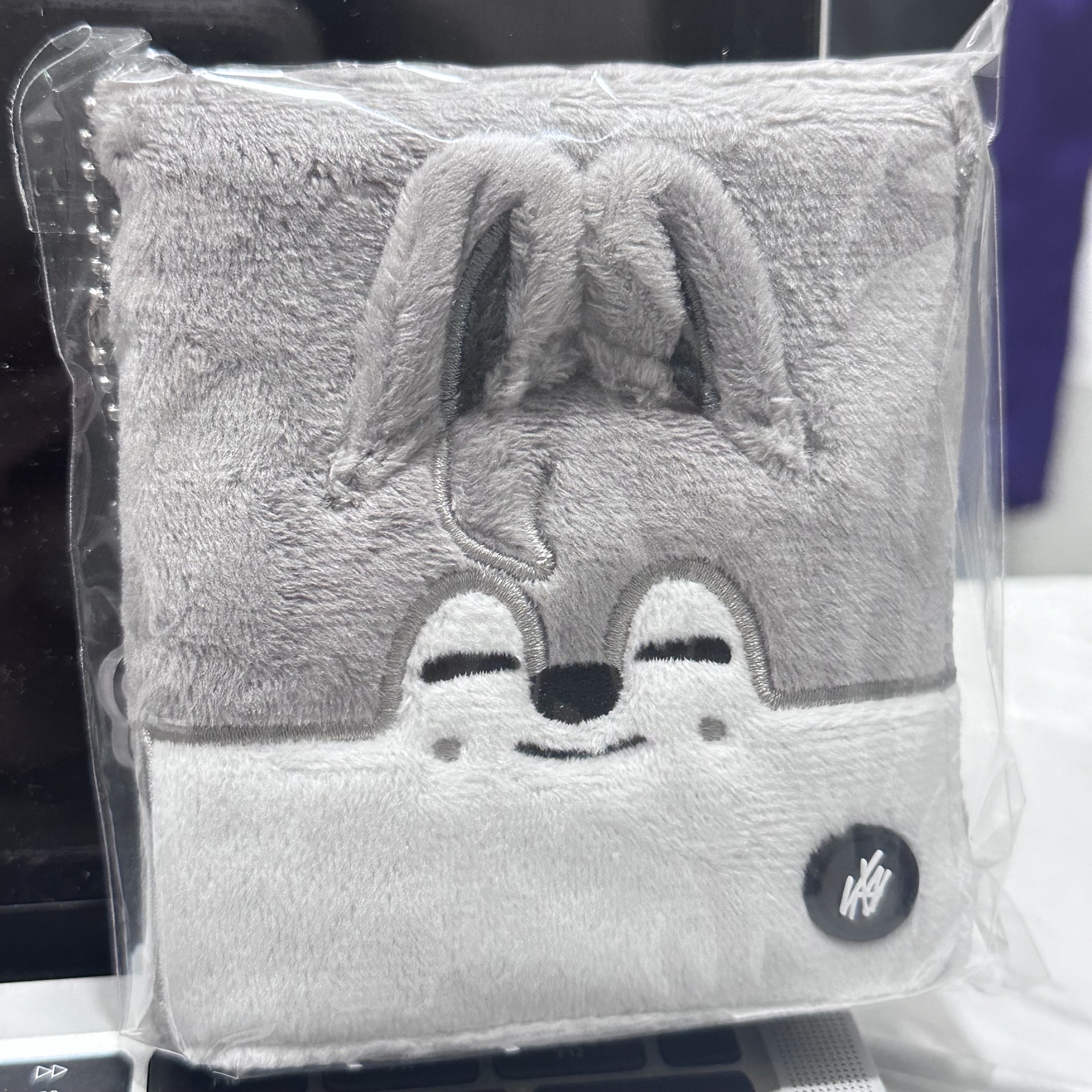 2025 SKZOO快閃店 wolfchan 卡冊 方燦