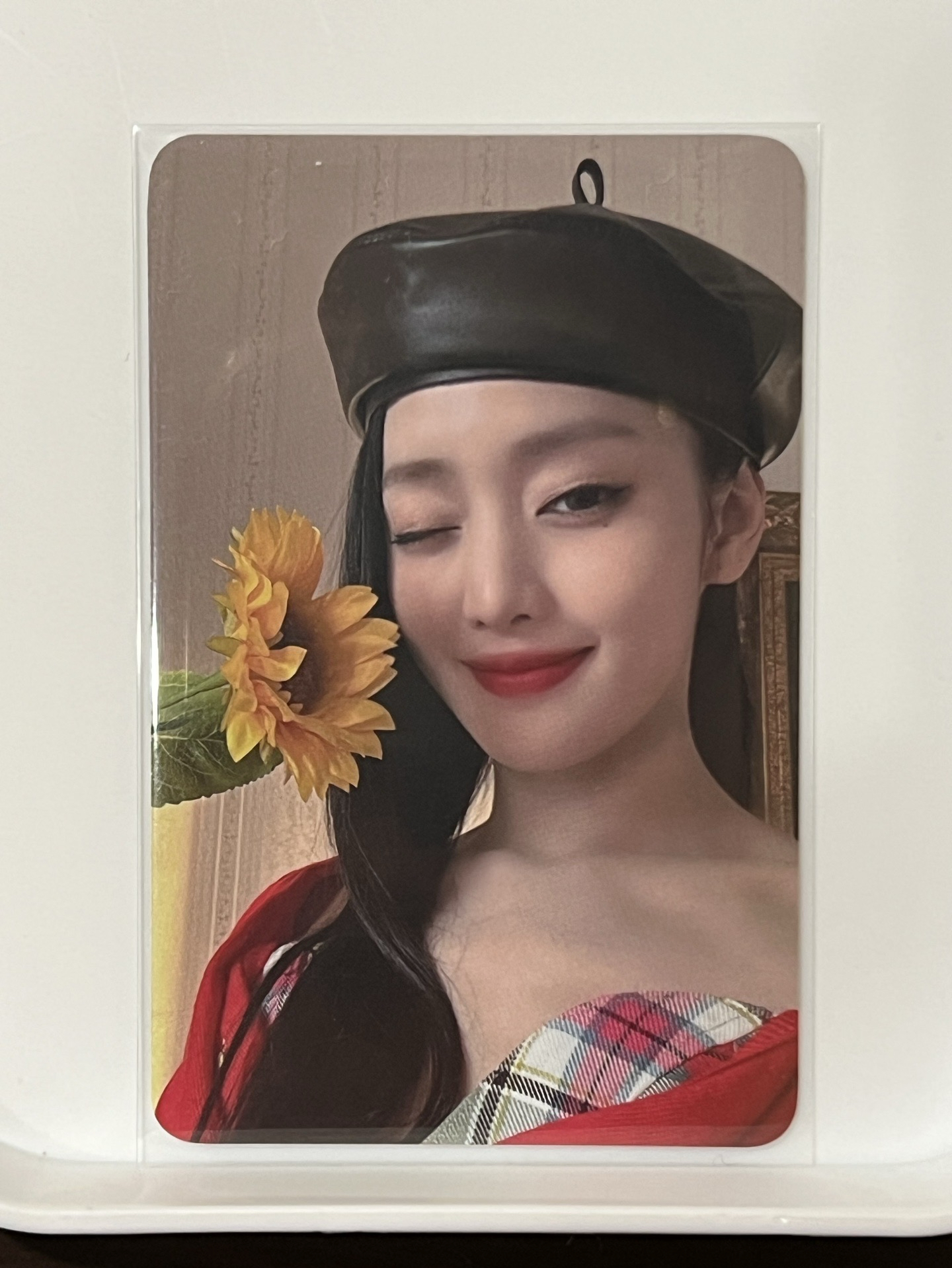 K4 妮lo 英文卡背