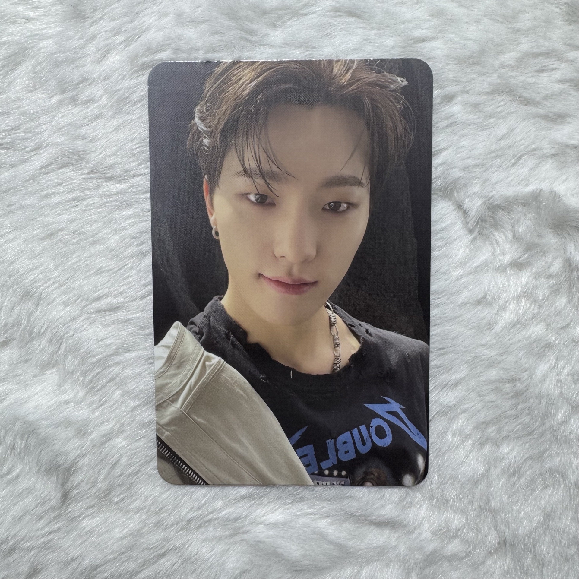 燦 Face the sun 專卡