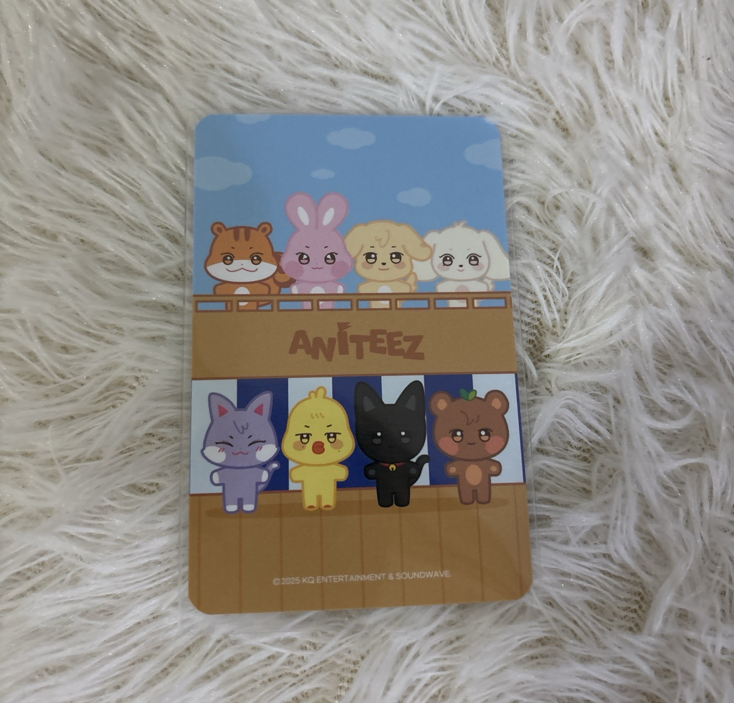 星傘雙人行李套小卡