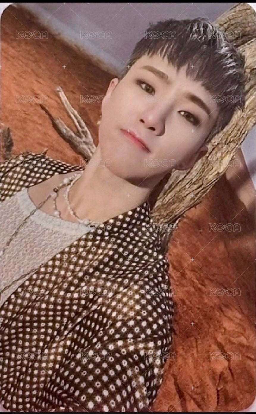 正四 wvs 簽售卡 