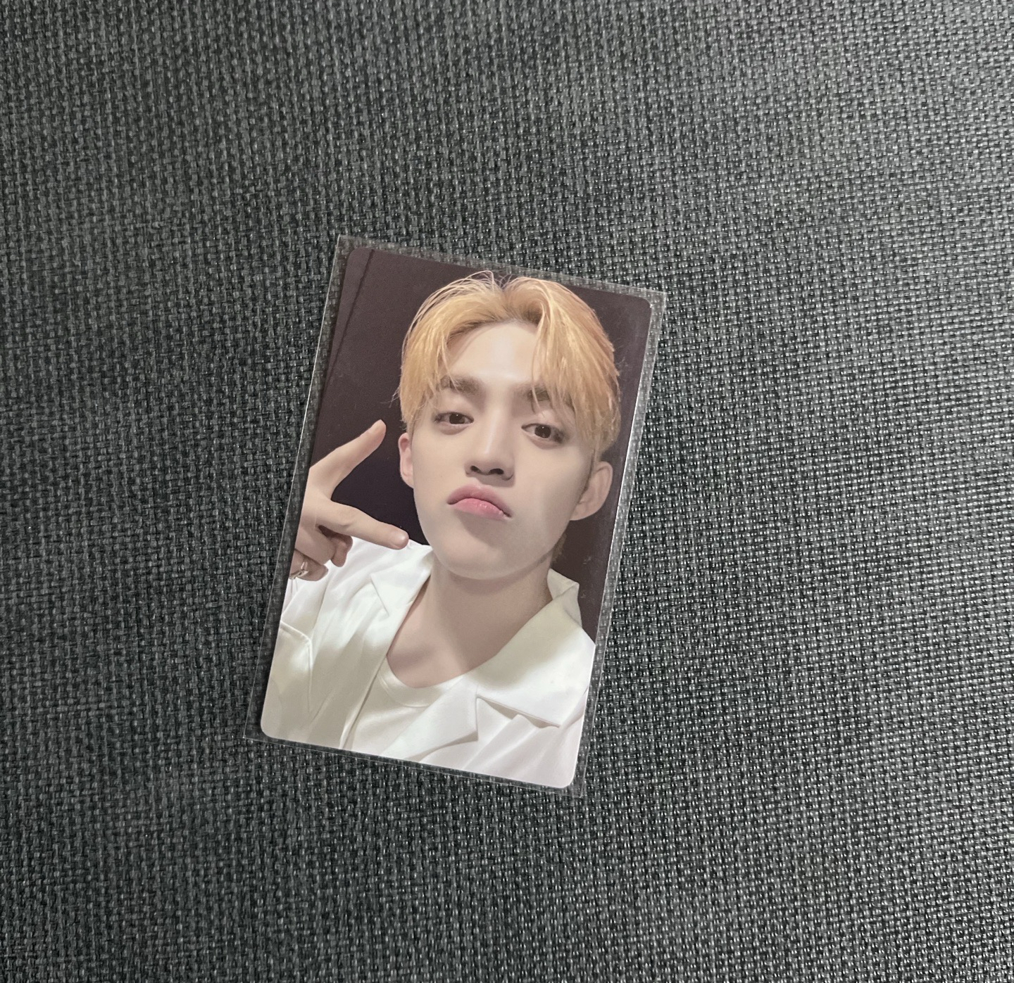 mini12 wvs 特典 哲