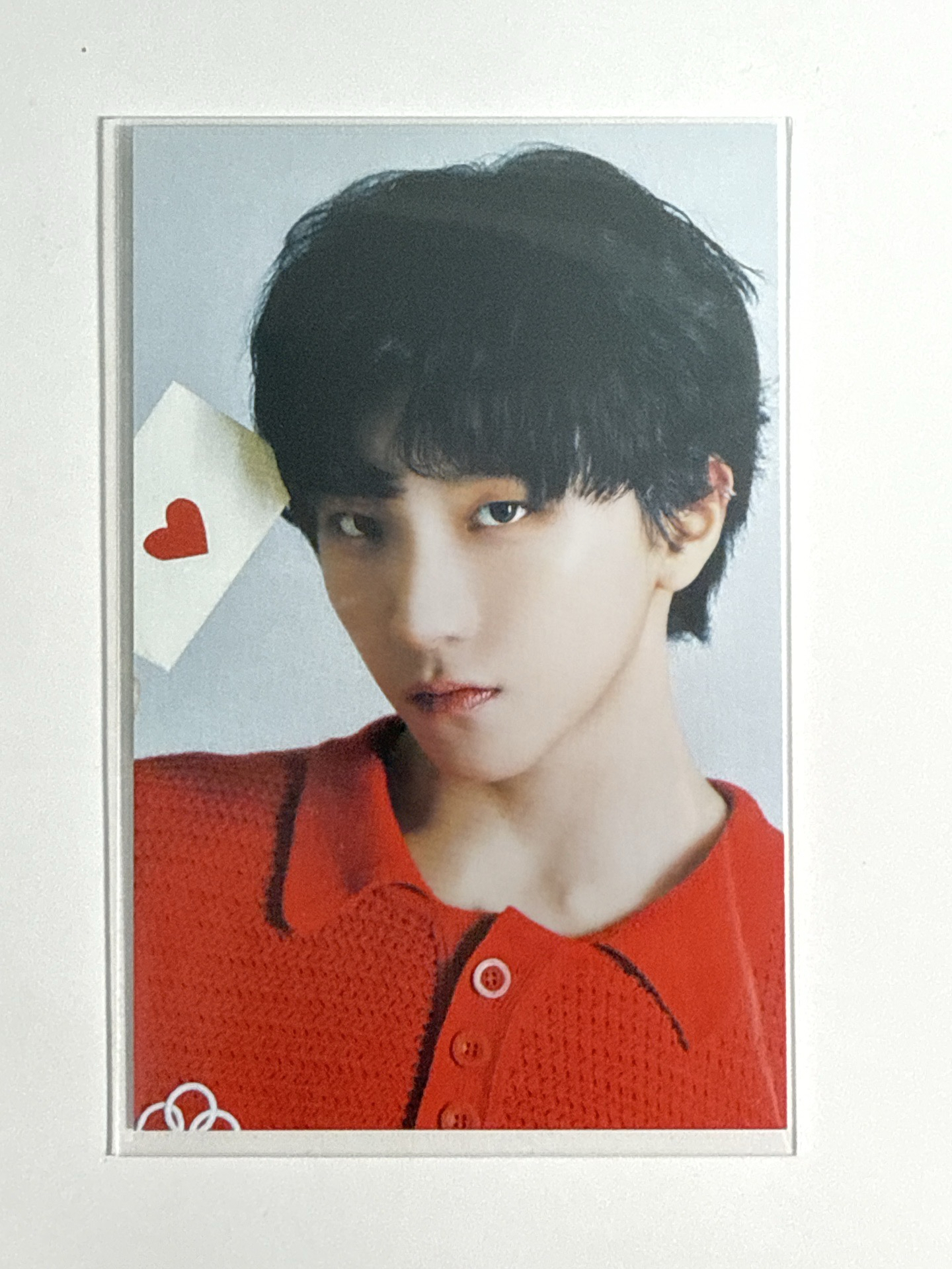 BND 日雜 金雲鶴