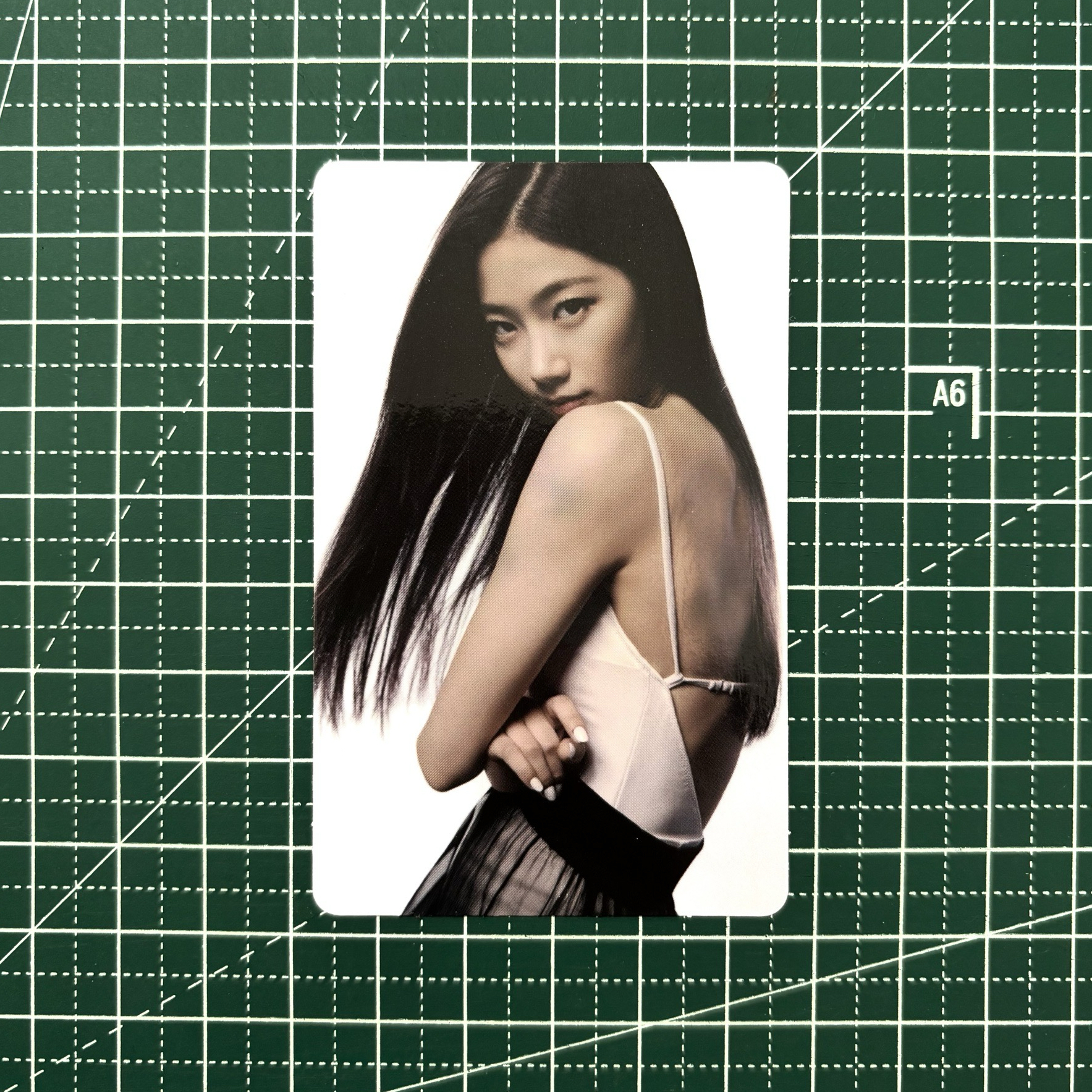 𓊆 無畏官拍葉 𓊇