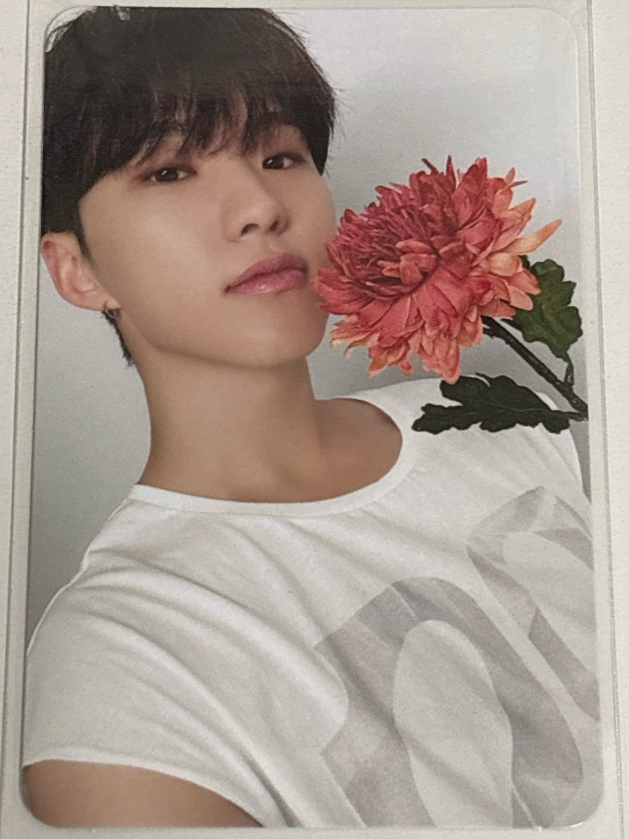 權順榮｜精選專 克拉盤卡