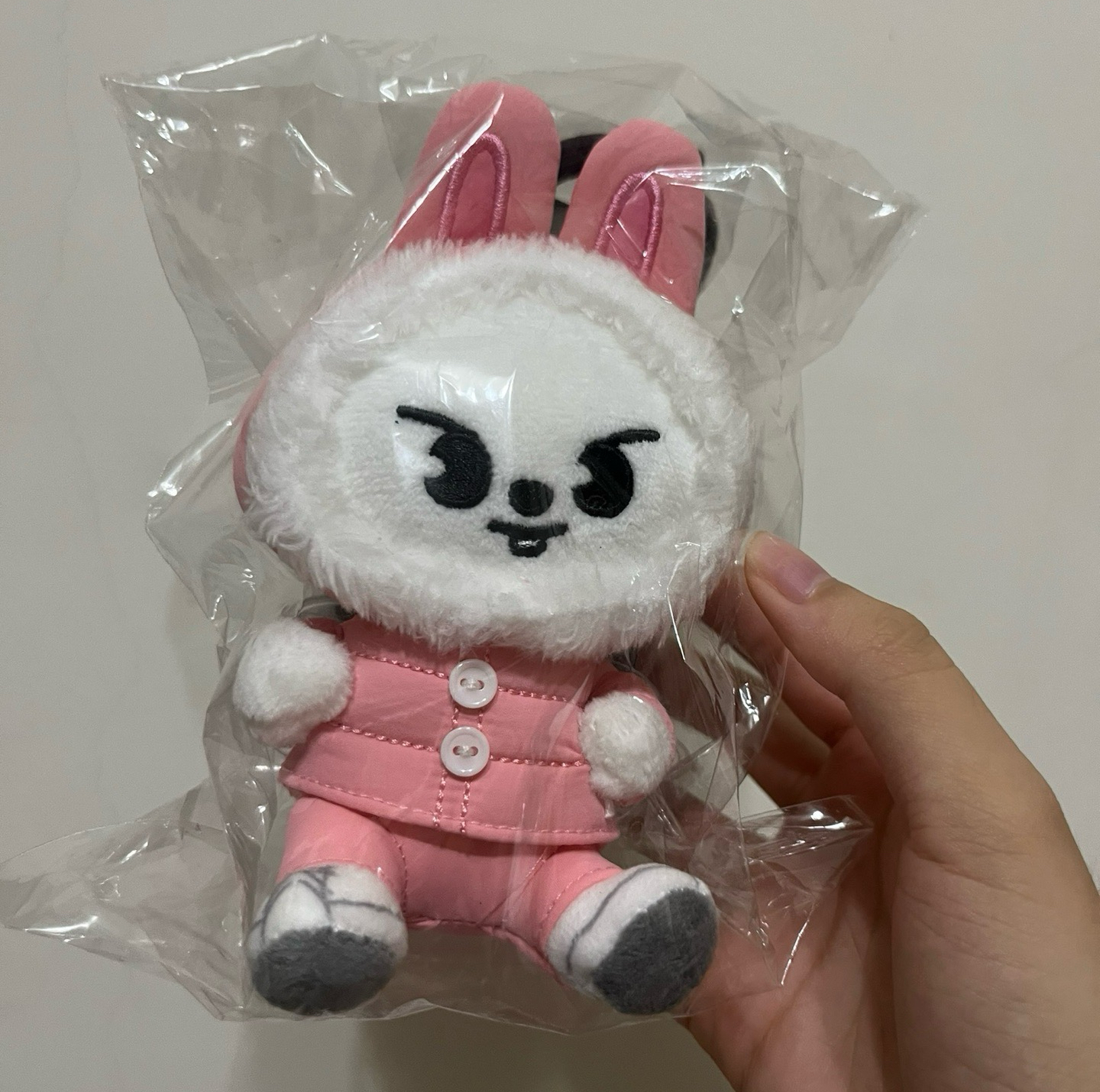 ATE日周 手機掛繩 旻🐰