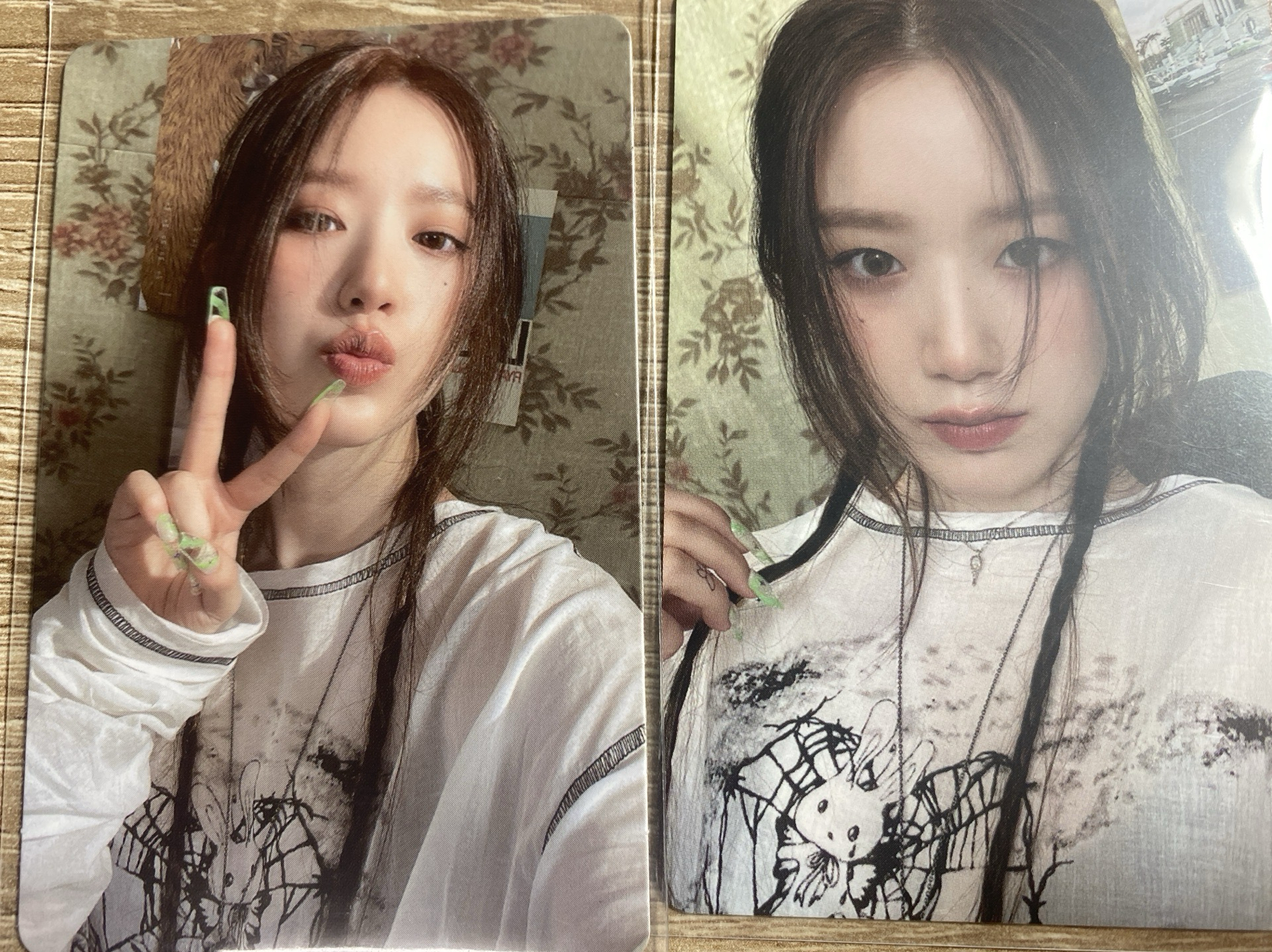 Shuhua I FEEL貓專專卡