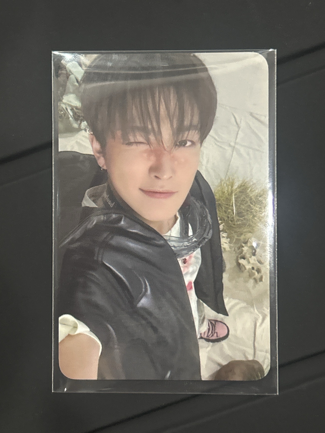 ANITEEZ IN TREASURE卡包卡（弘中）