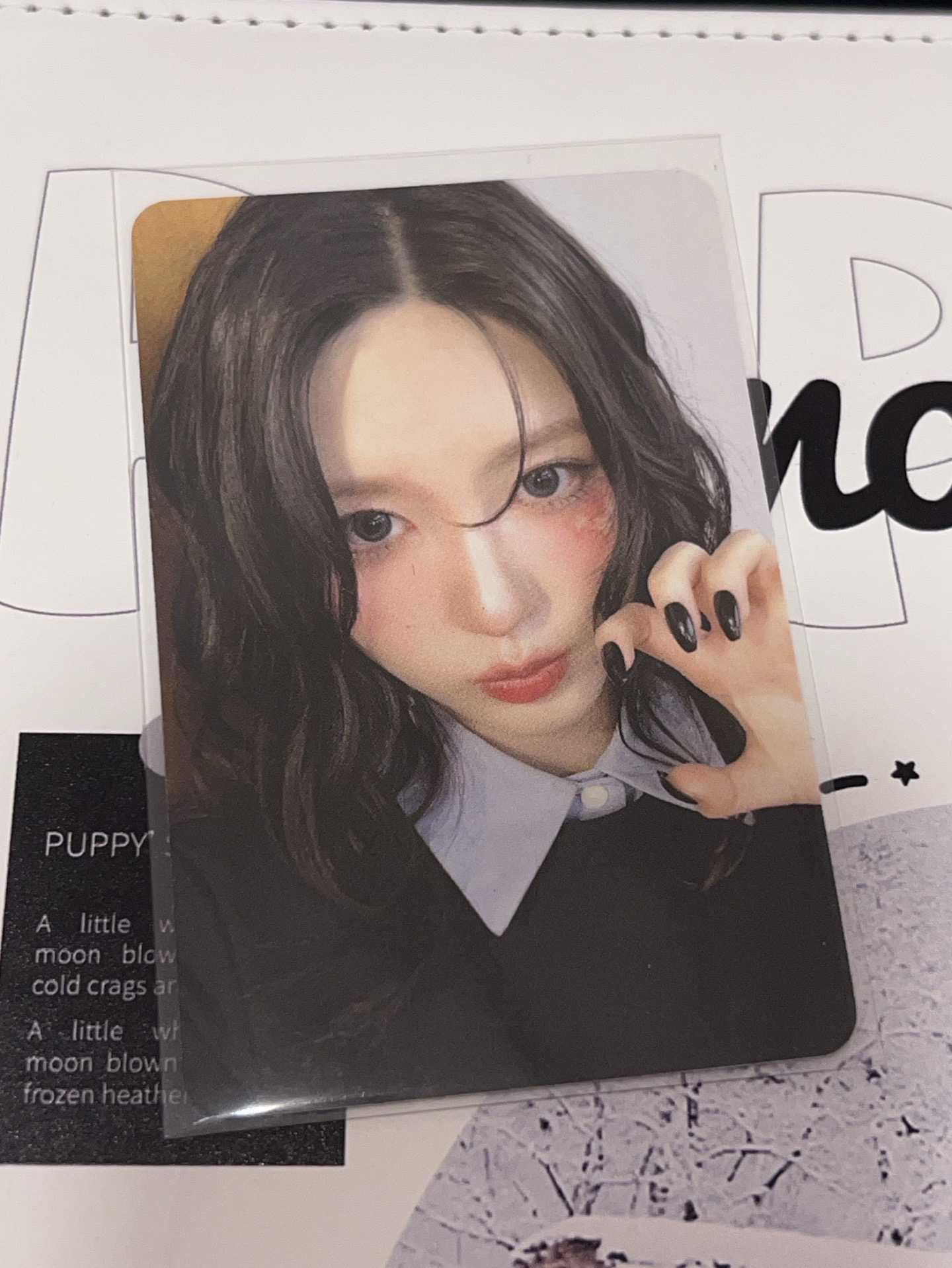 AM3.0秋