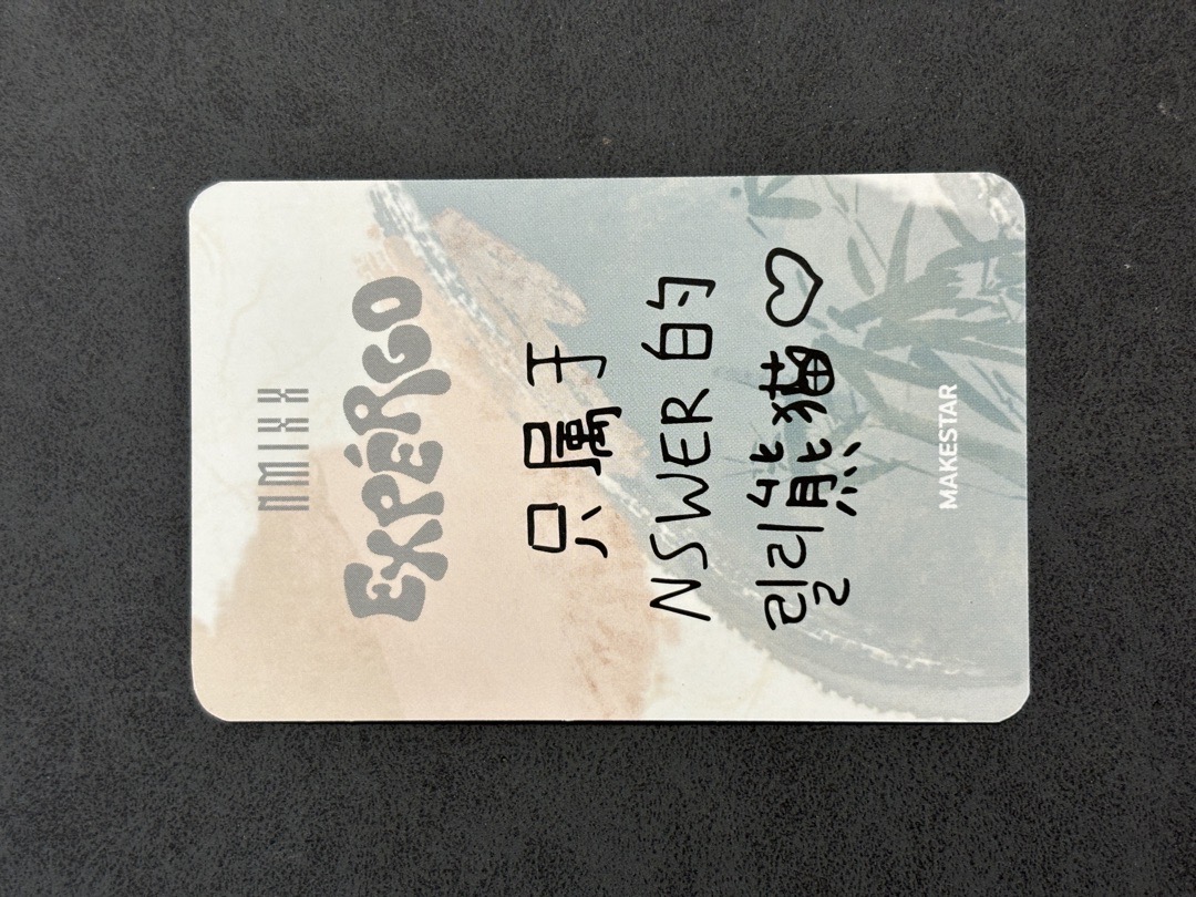 NMIXX MS LD 2.0 熊貓莉