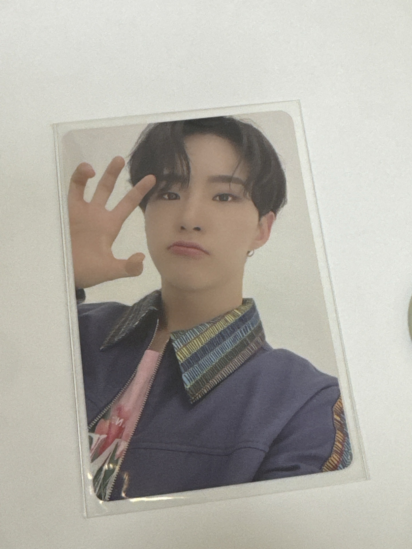 hoshi NOT ALONE 專輯卡 D ver