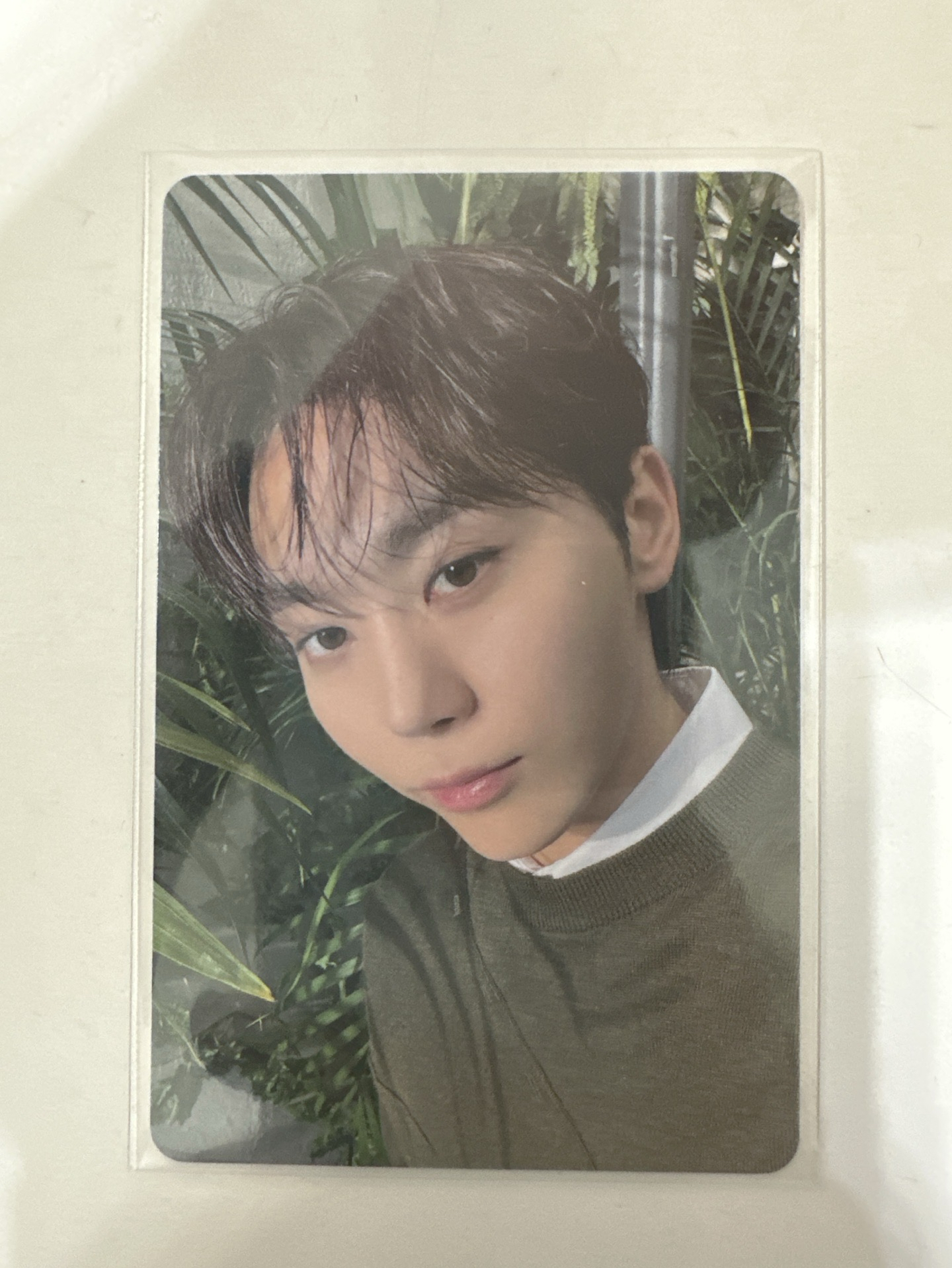 消費期限 塔店寛