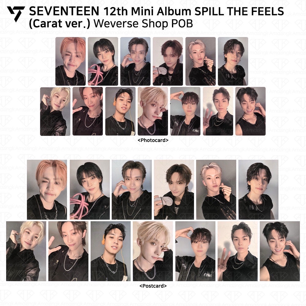 迷12克拉盤 WVS特典卡+明信片