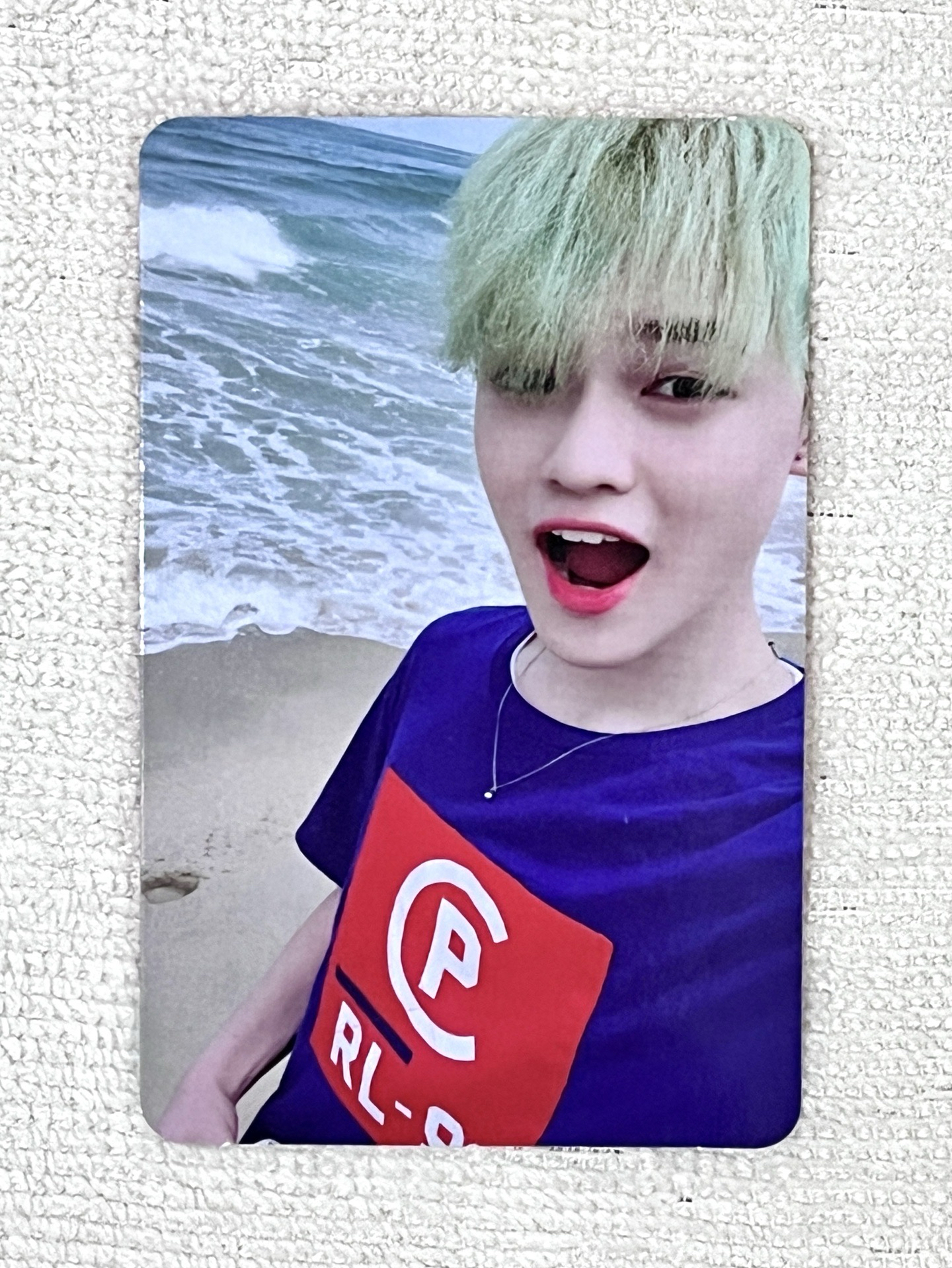 NCT DREAM鍾辰樂CHENLE｜We Go Up專卡 包菜樂 牙牙樂 海邊樂