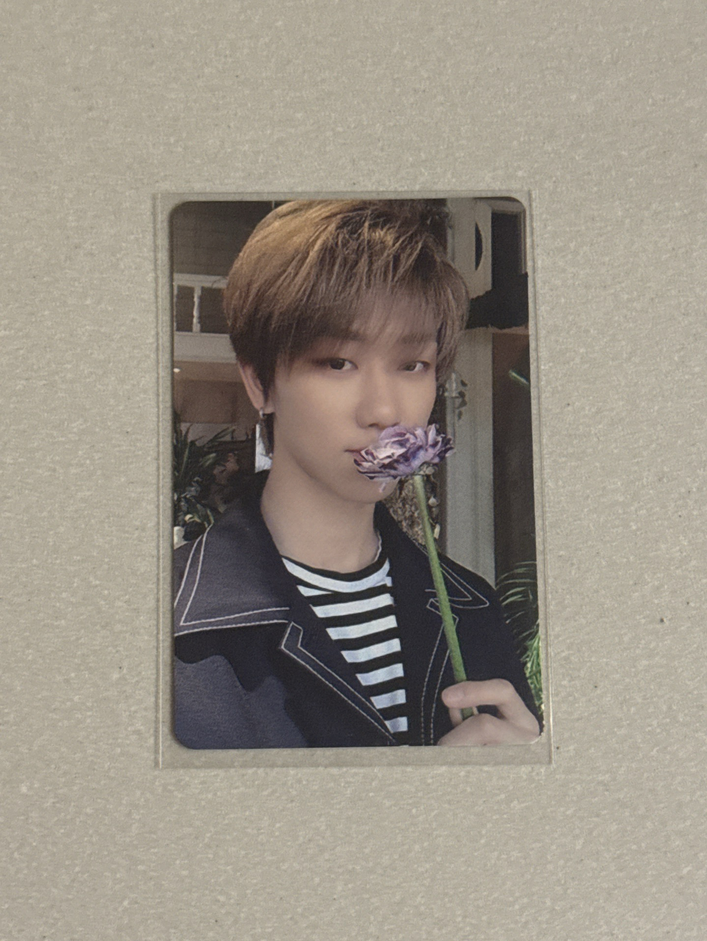 聞花八 日專 happy ending 