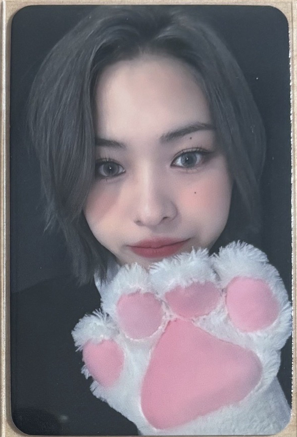 留真sw3貓爪（特殊卡背）