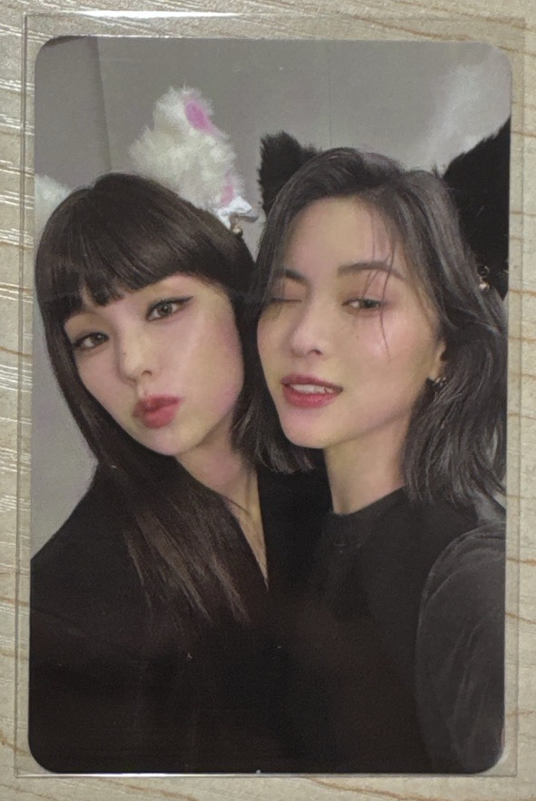 CHESHIRE 專輯卡 雙人卡