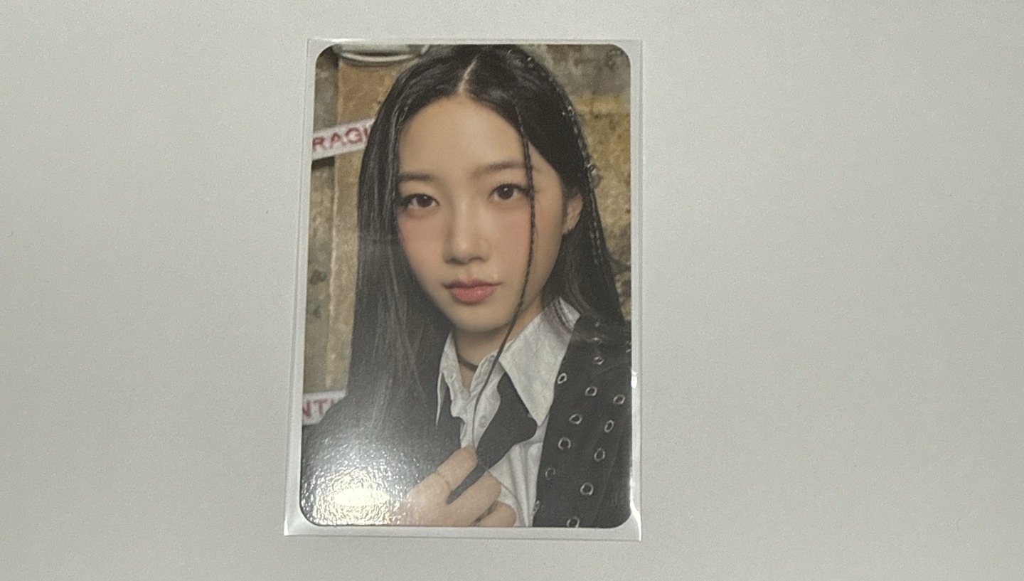 ANTIFRAGILE 專卡 一葉