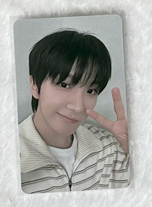 19.99 ma2.0 LD 雲鶴