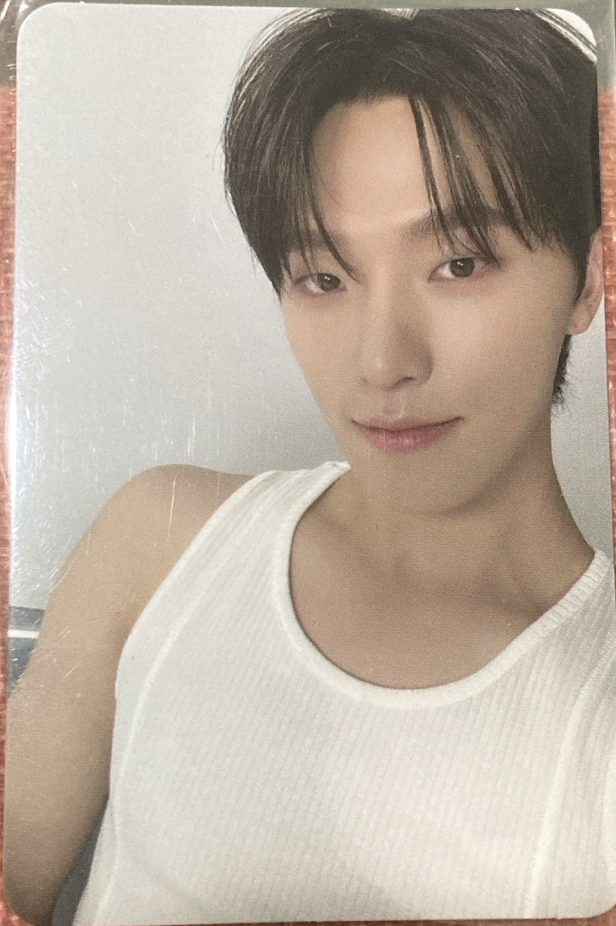 燦 精選專 親愛盤隨機卡✨