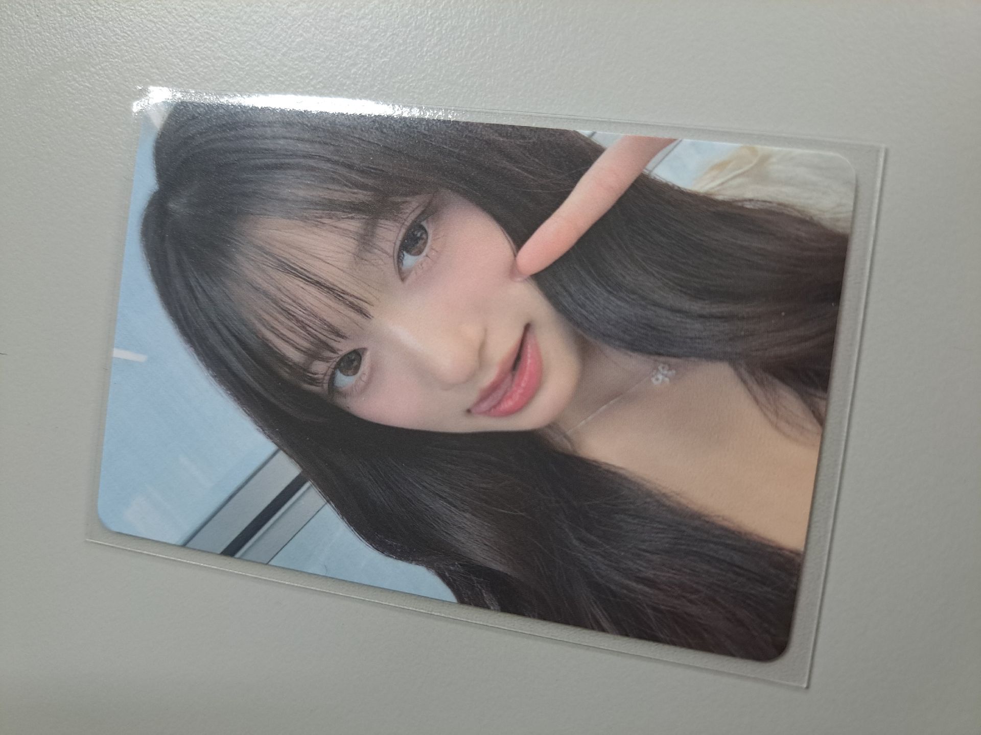 ive alive 819日本瑞