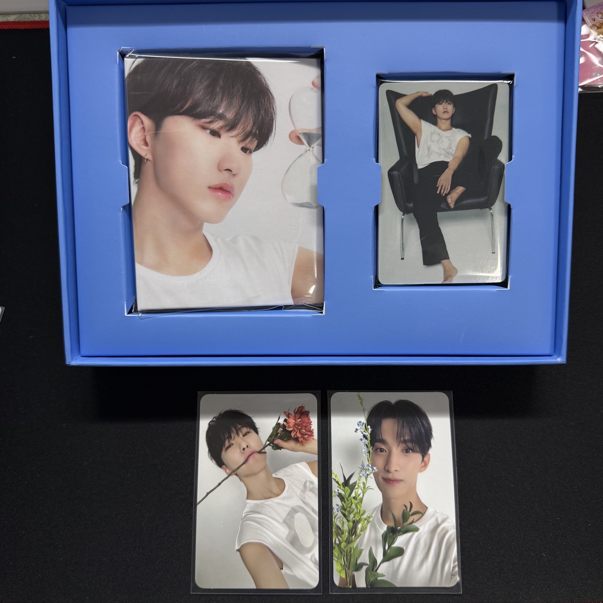 精選專克拉盤 Hoshi封