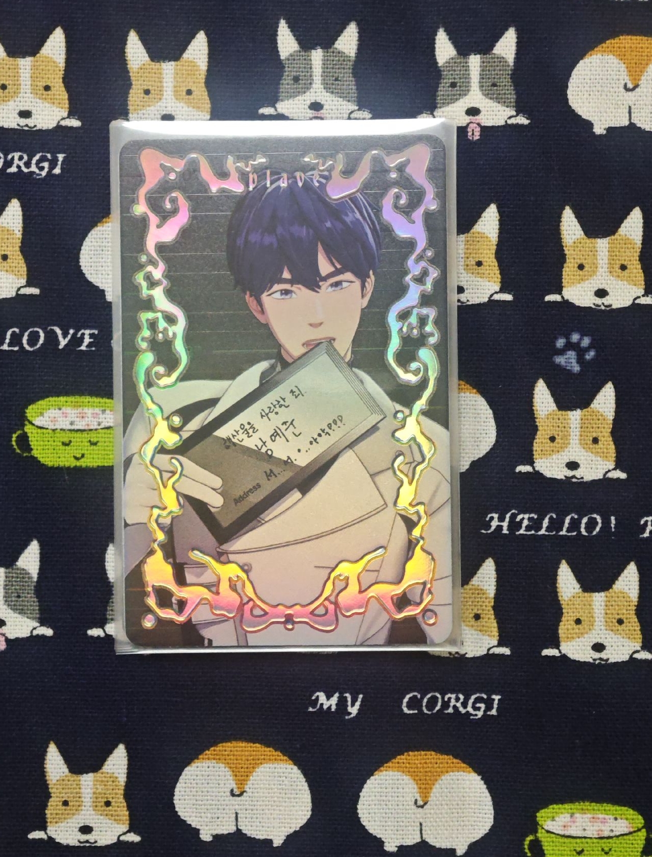 Caligo Pt.1|迷三|罪人卡|藝俊