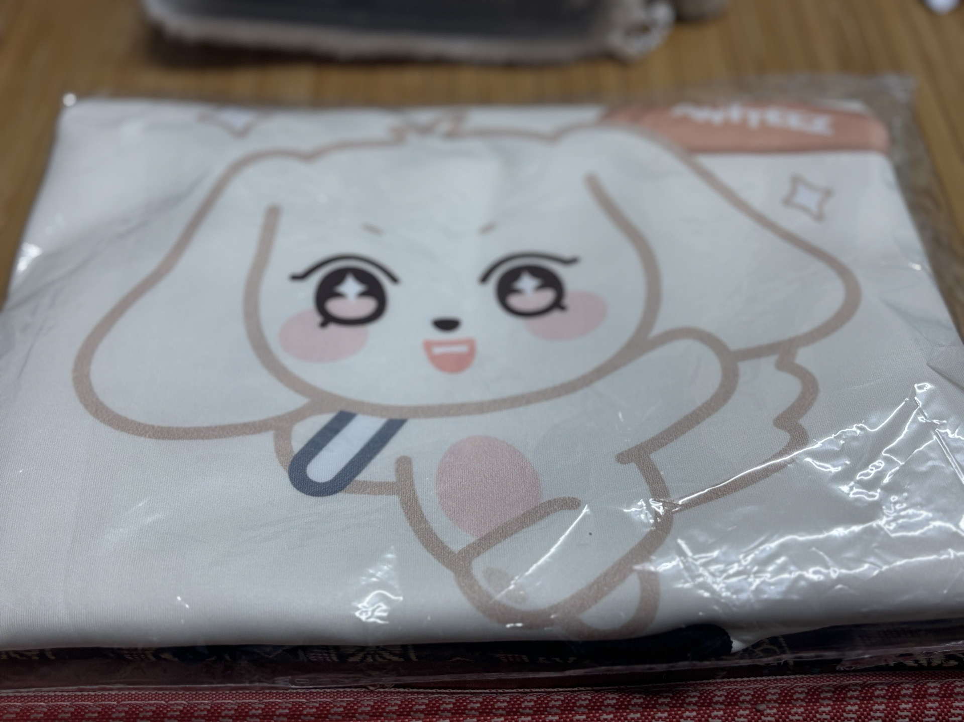 呂尚個人行李箱套