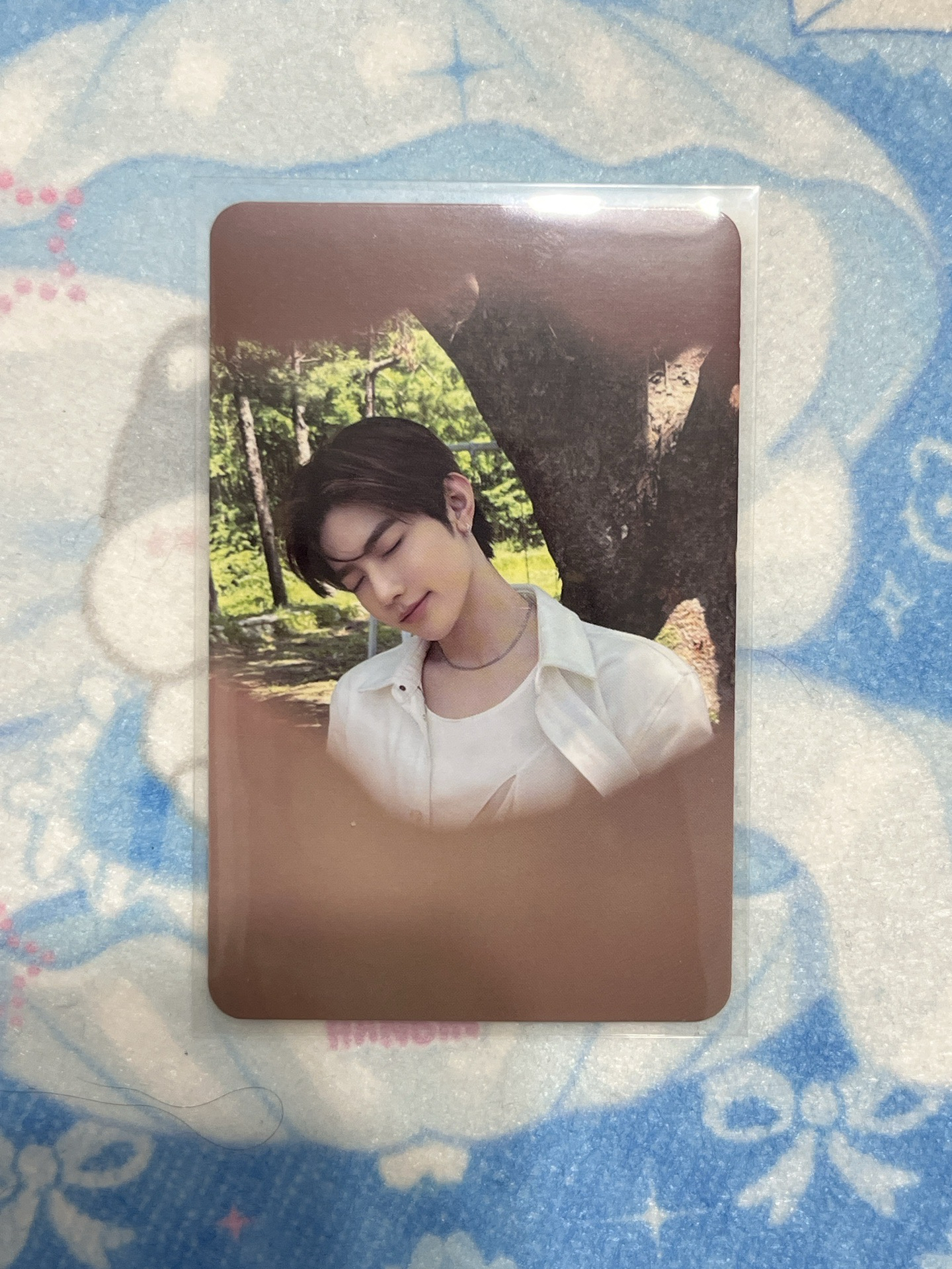 never say never 綠版專卡 章昊