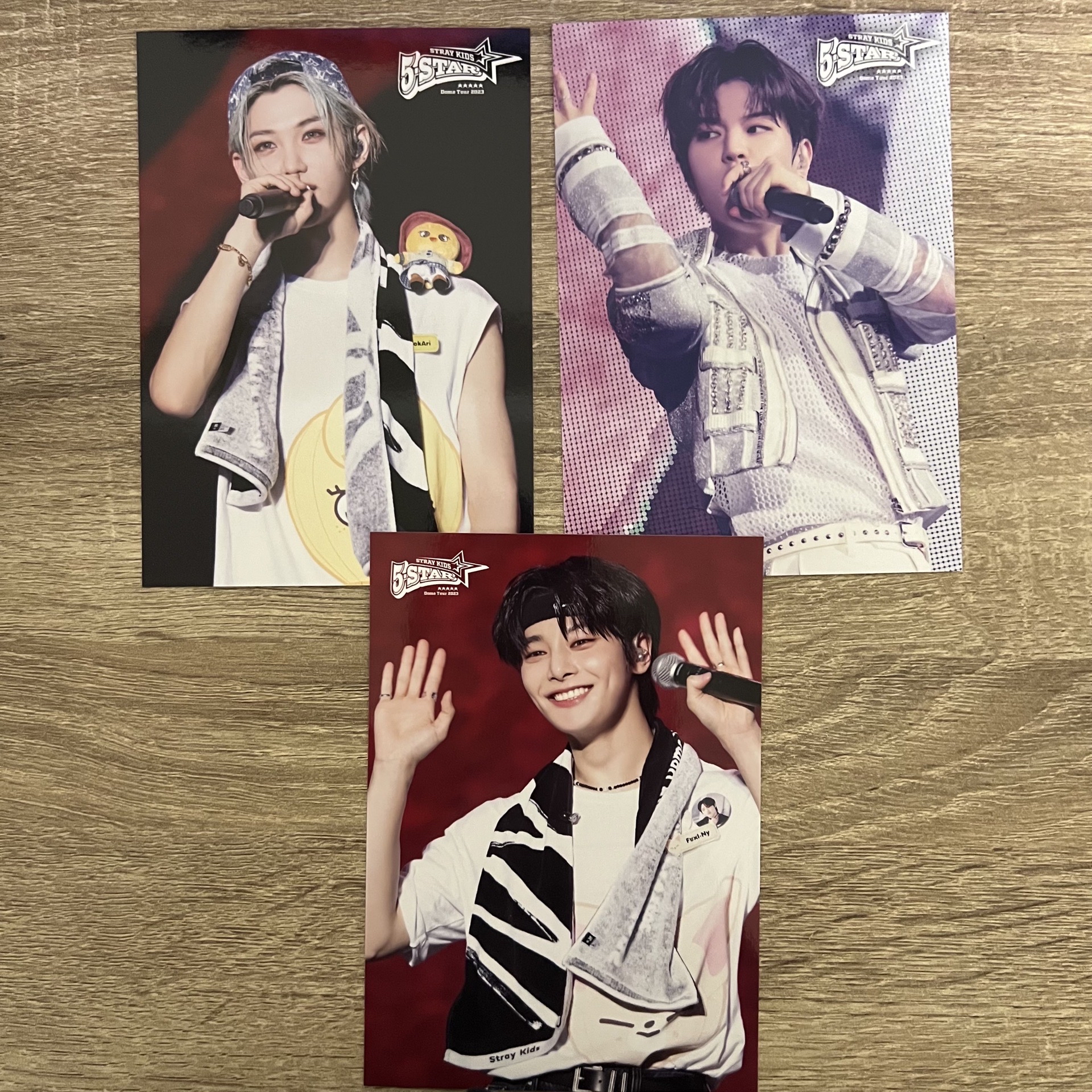 Stray kids 日本 5Star 蛋巡 演唱會 周邊 大卡/明信片 Dome tour 昇玟