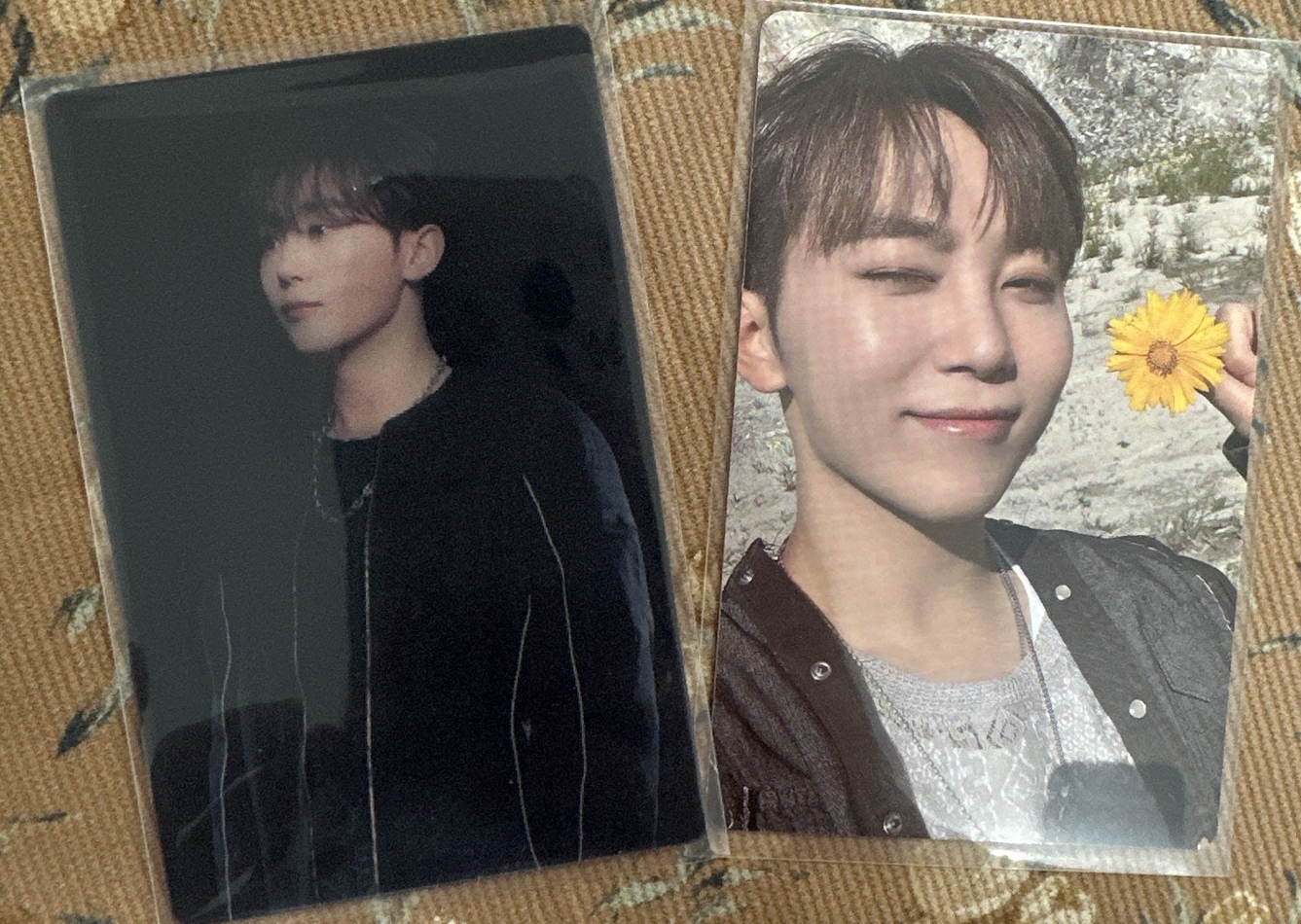 follow follow again dvd 變換卡