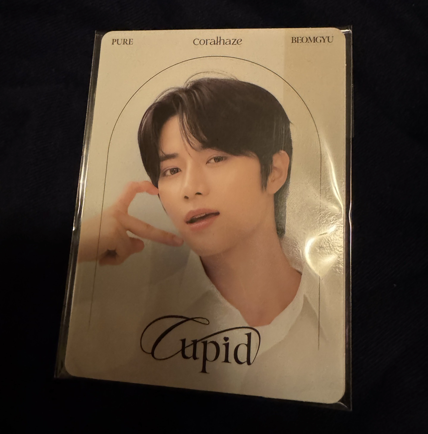 Coralhaze 杋圭 小卡