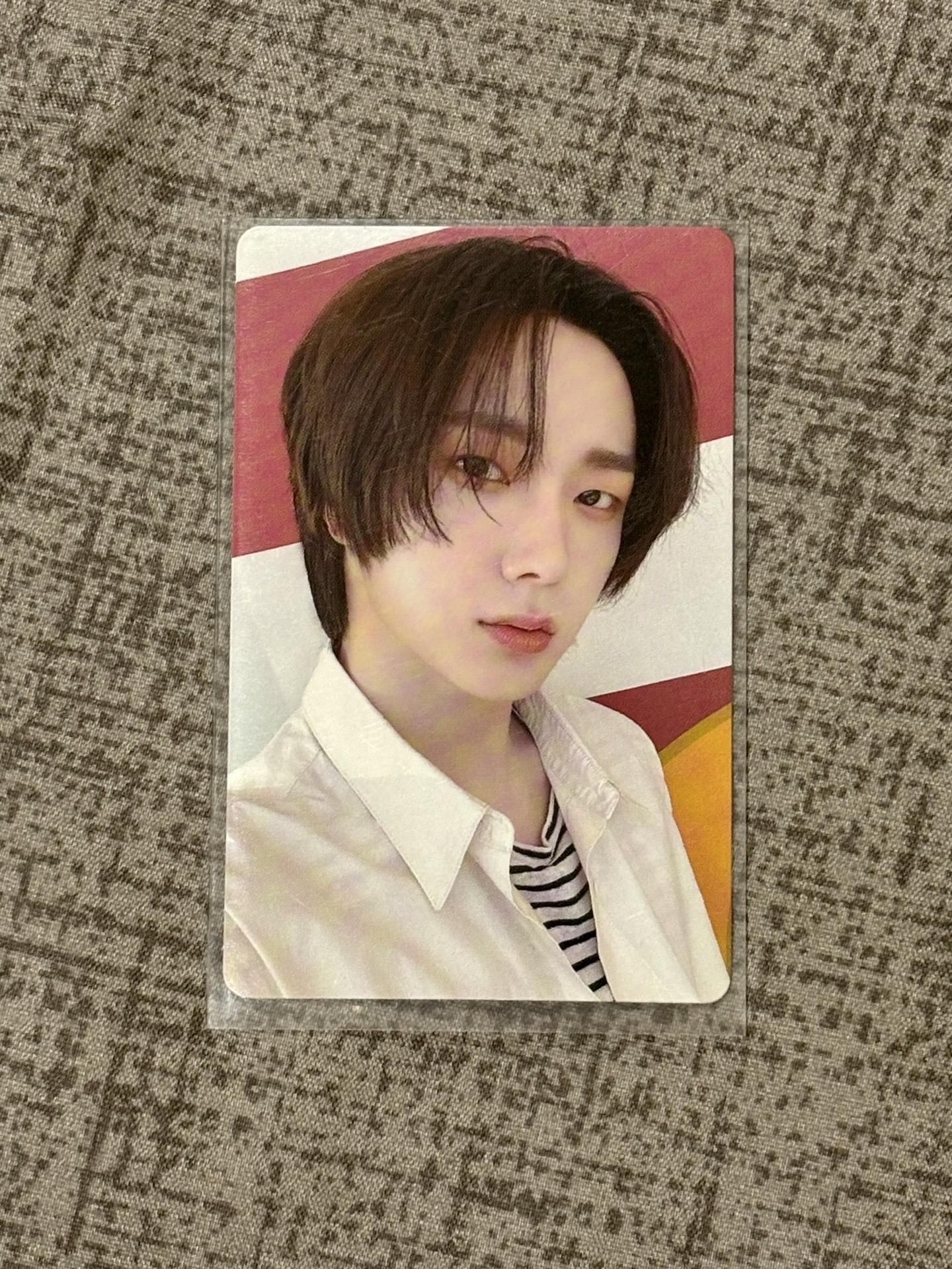 💙19.99 Nice 成淏專卡