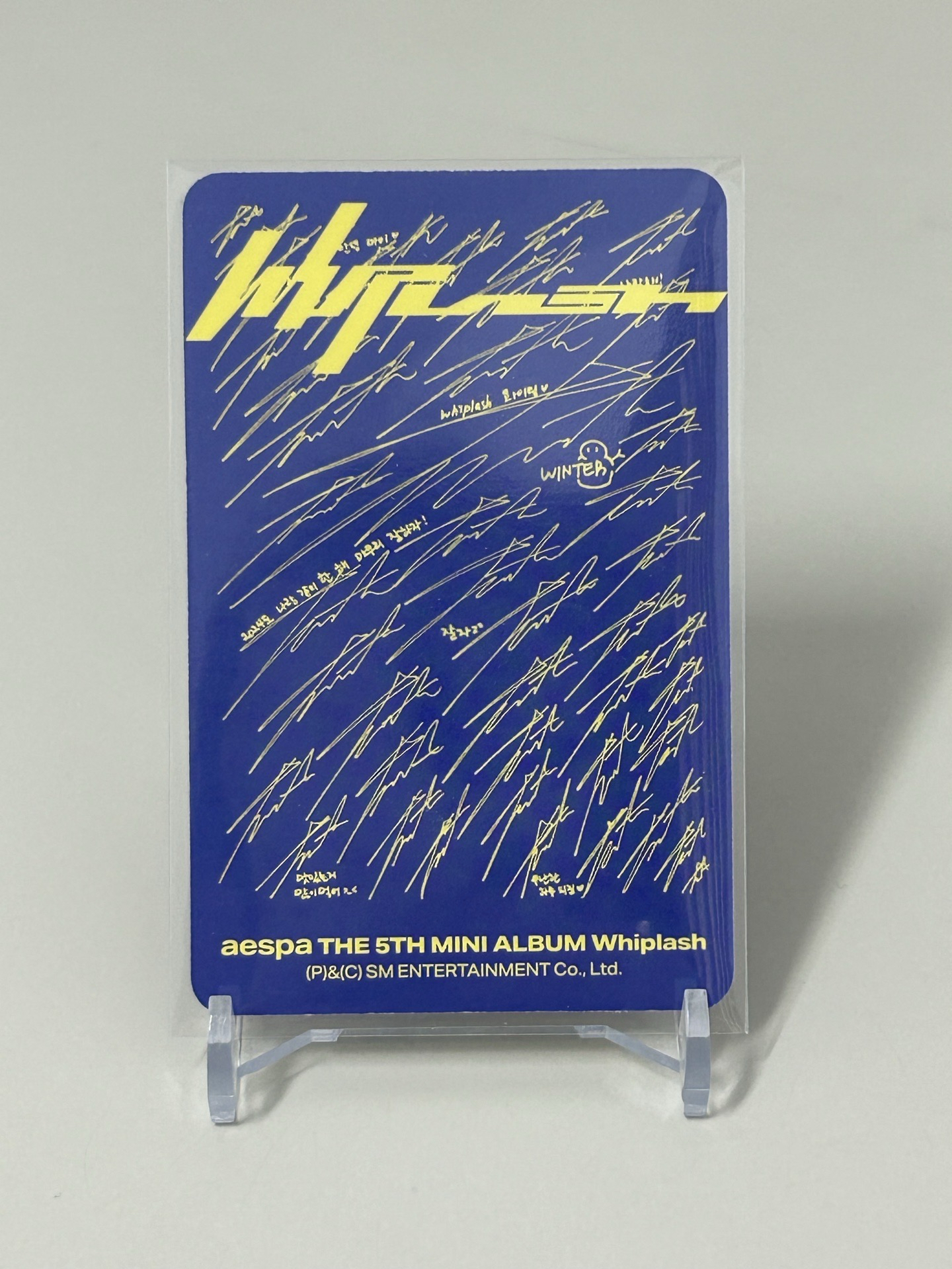 speed專卡冬