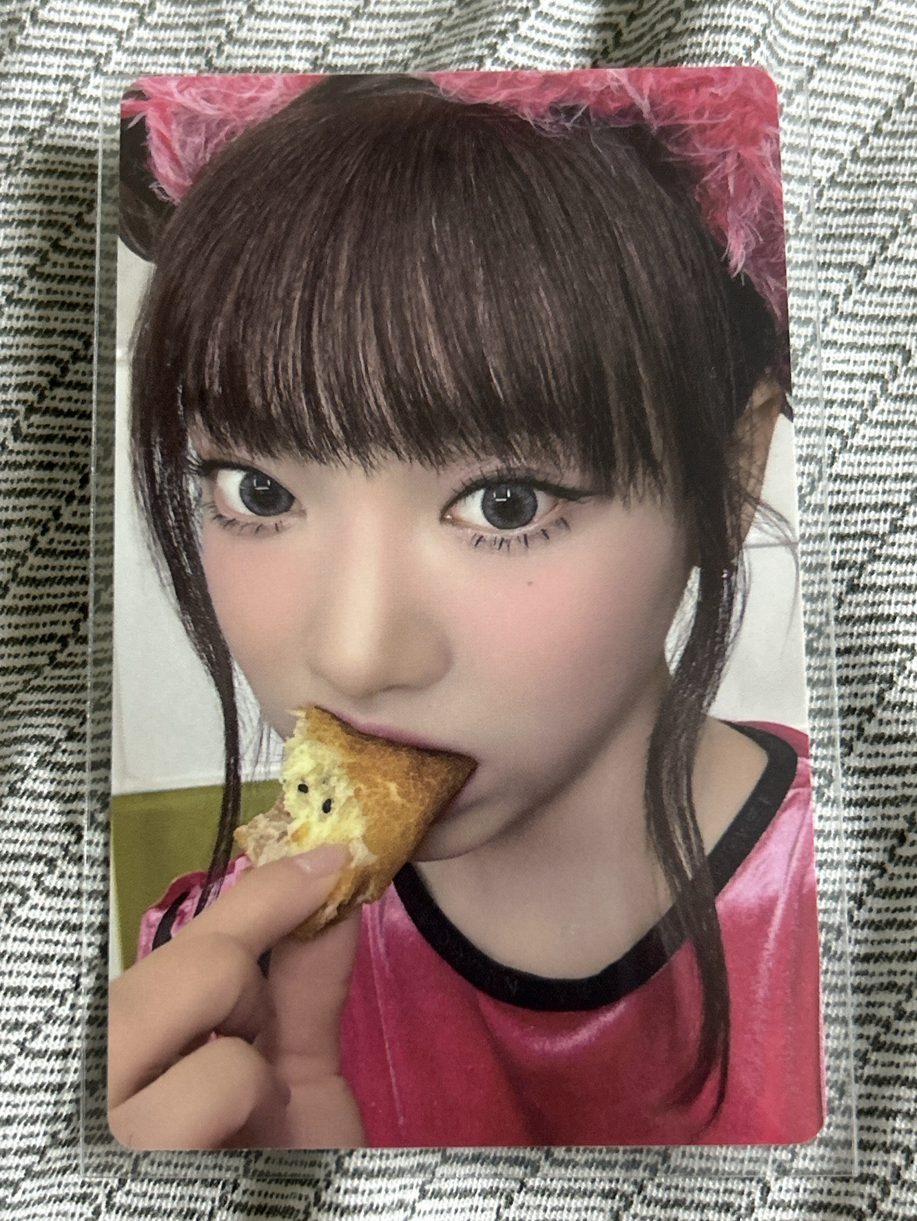 dvd回憶錄 演唱會 DVD / CD 卡 寧