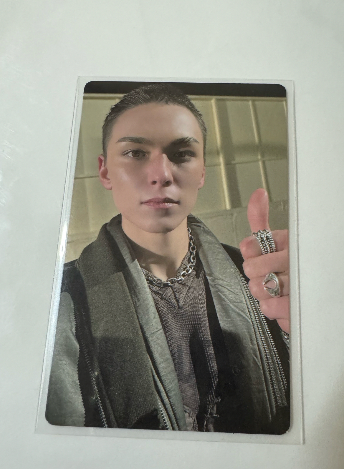 💎正五 wvs PB預售特典卡