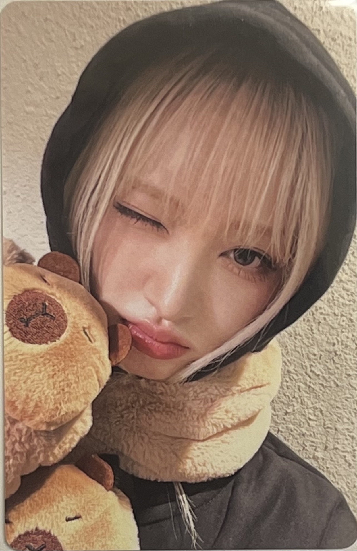 IVE YZY3 卡皮巴拉栗