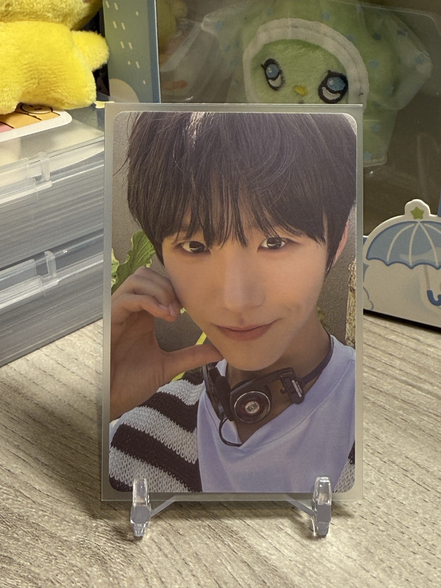 NCT WISH surf樹🌳