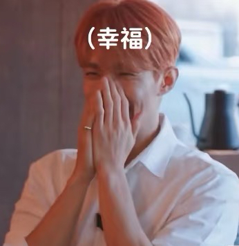 SVT白菜價🥬（綁物區）