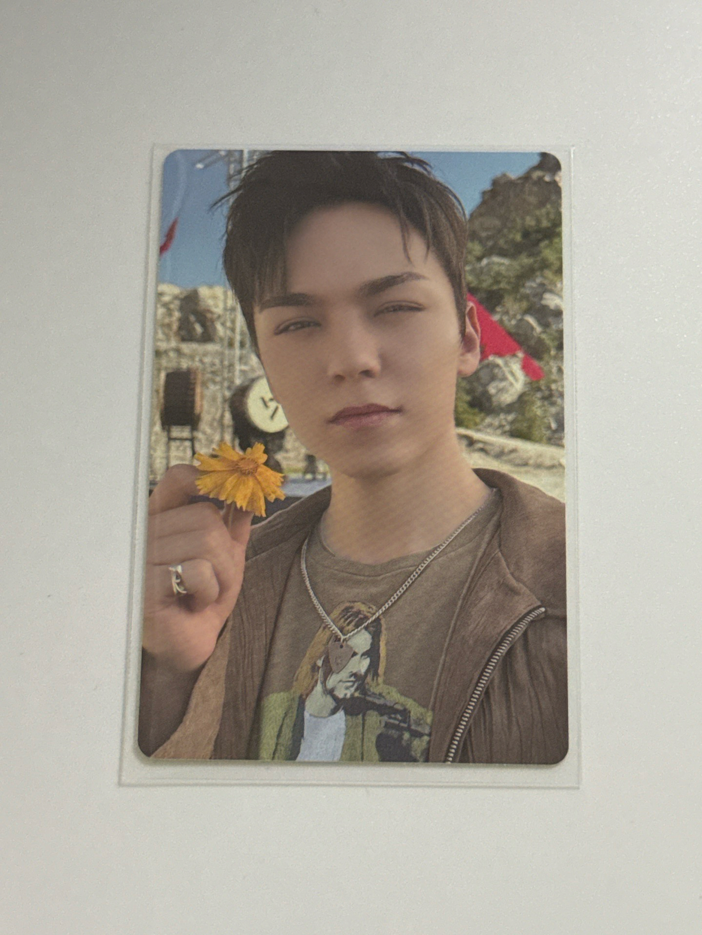 SVT 率 FOLLOW DVD 卡